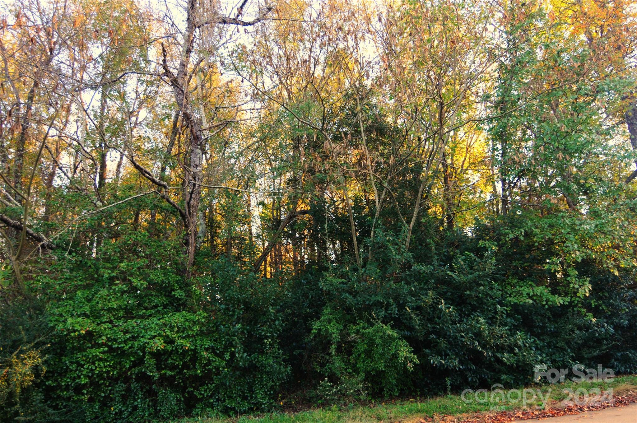 Harrison Park - Land