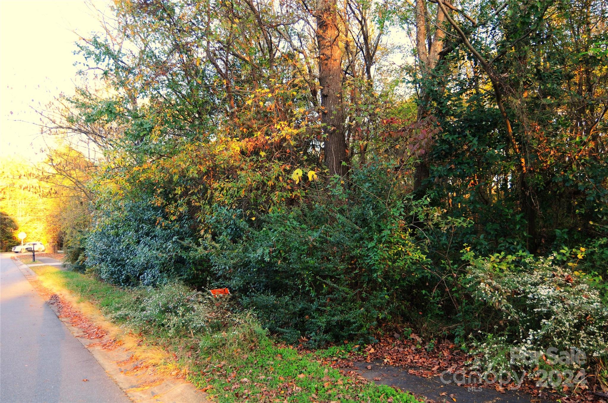 Harrison Park - Land