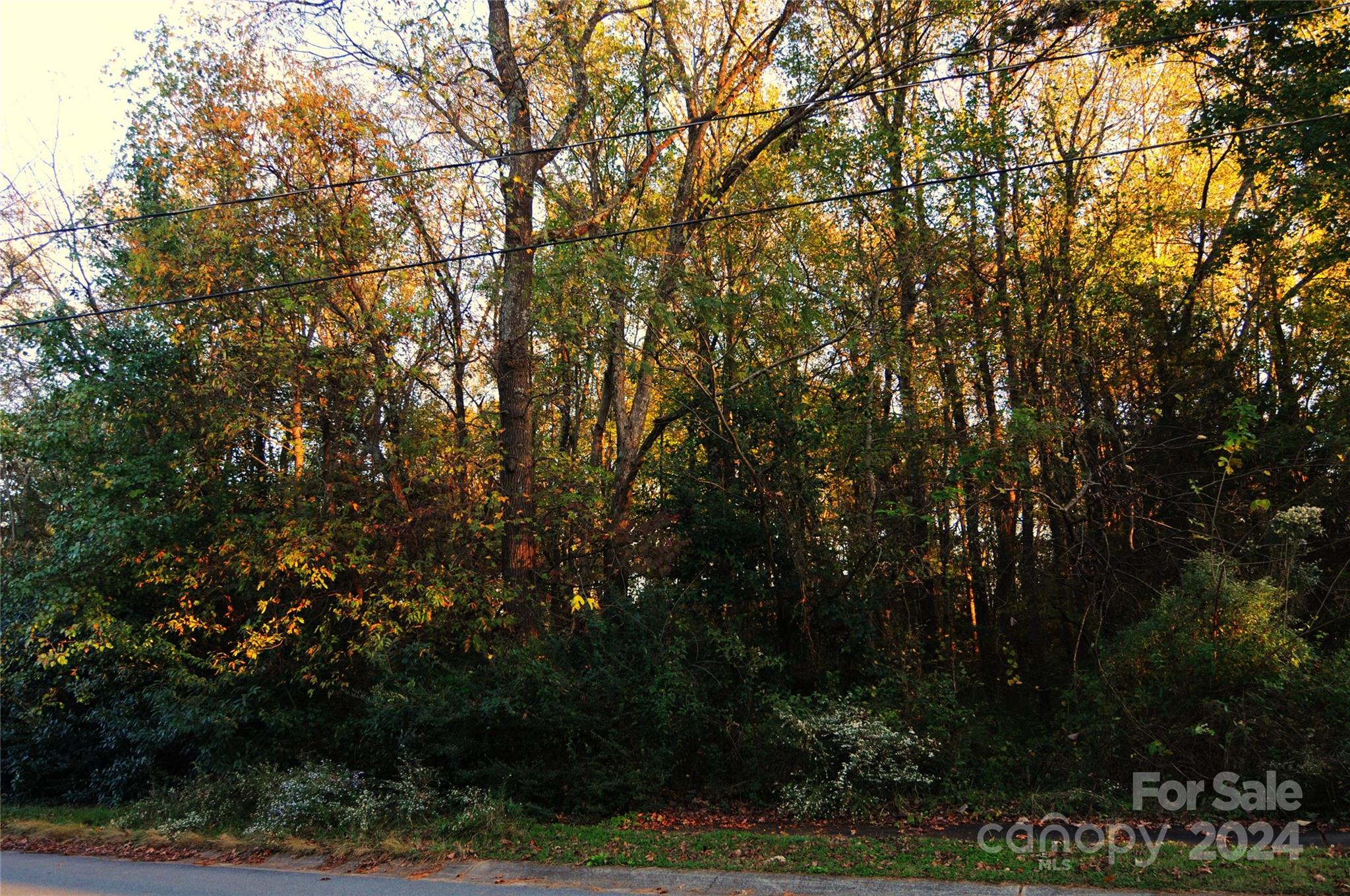Harrison Park - Land
