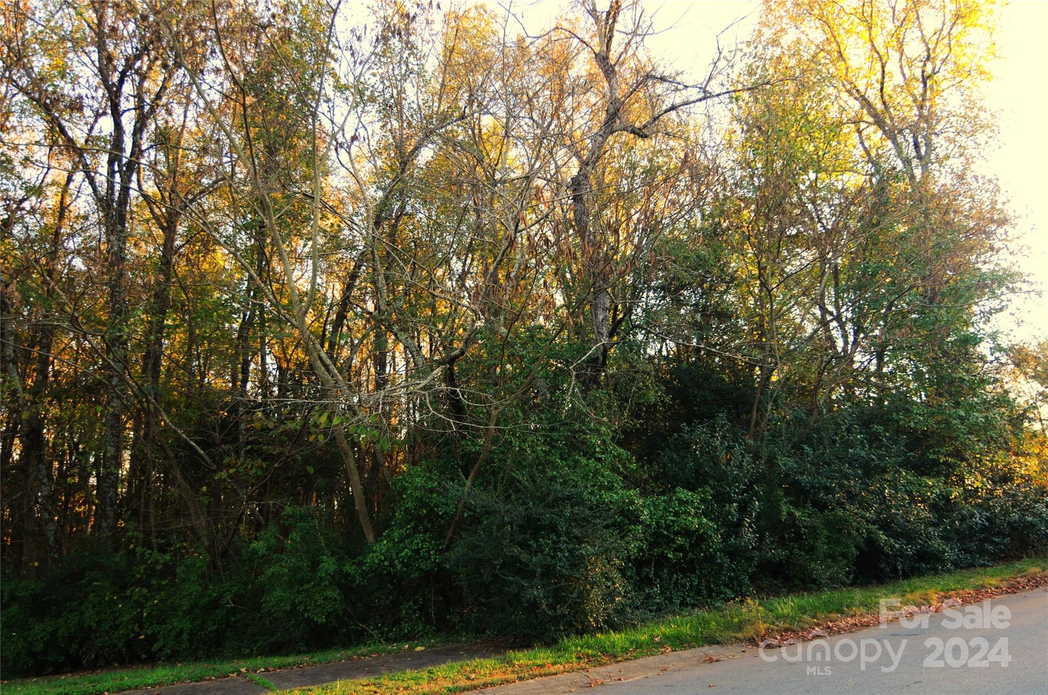 Harrison Park - Land