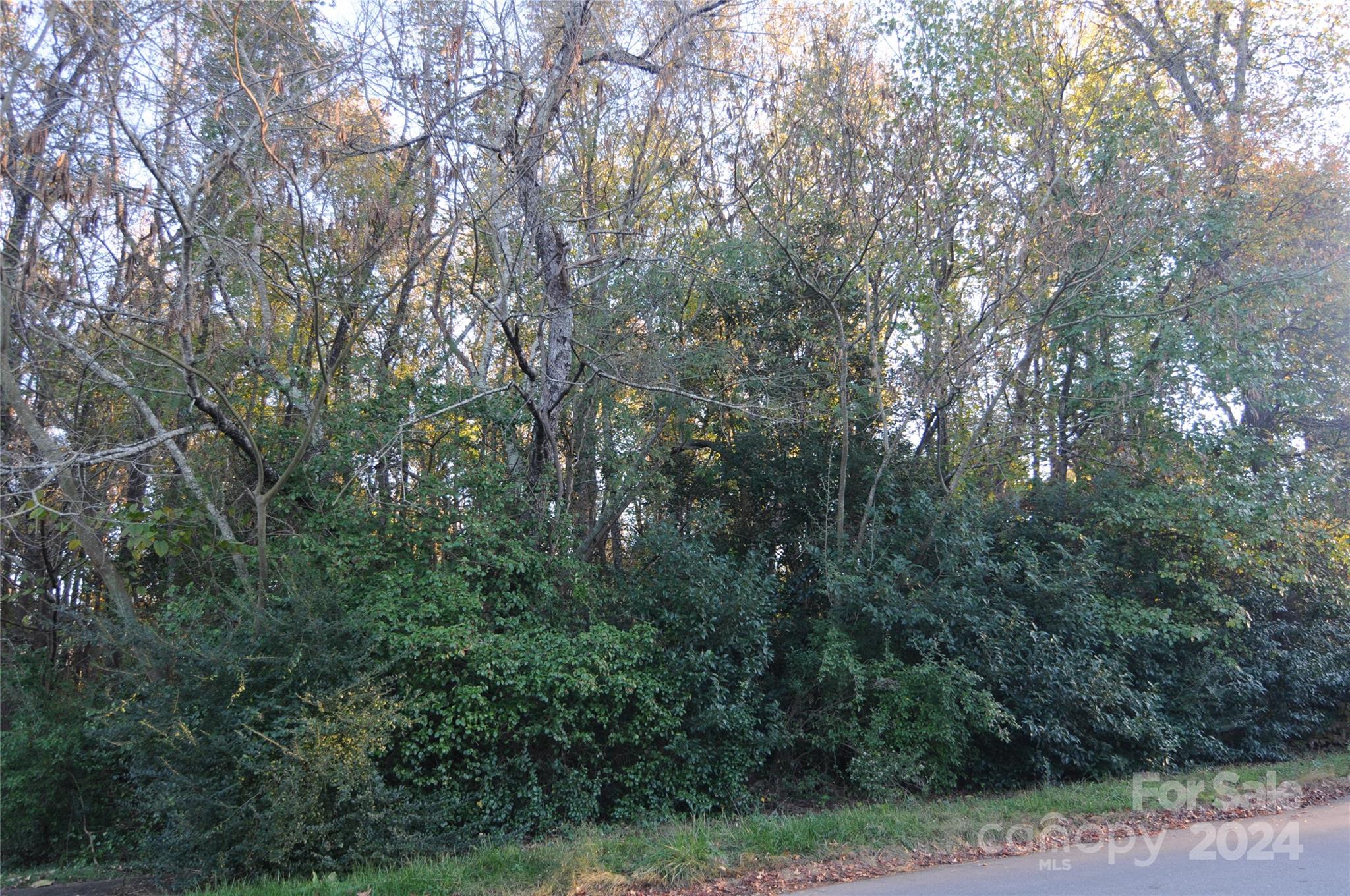 Harrison Park - Land