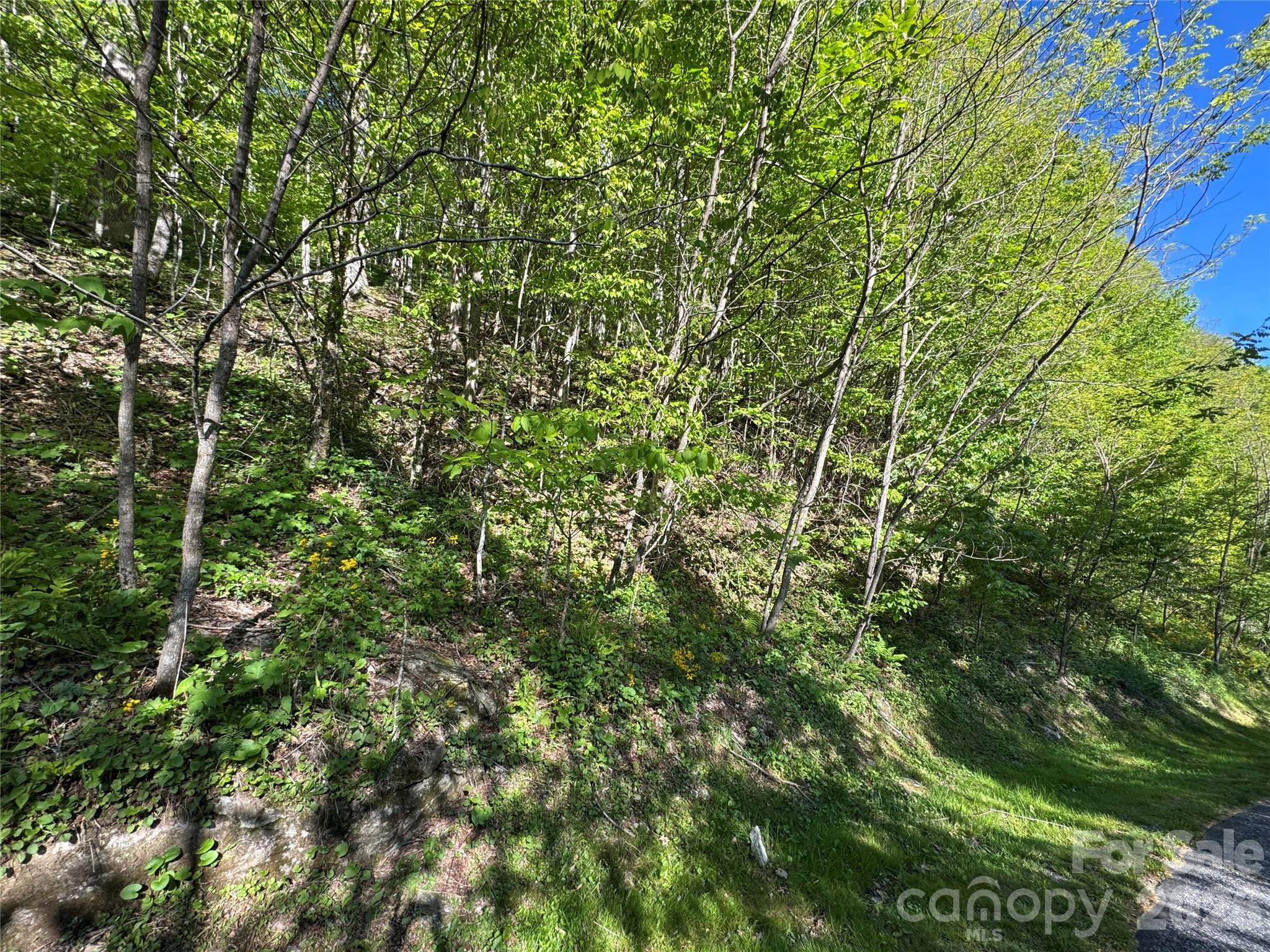 21 Overlook Drive 21/23