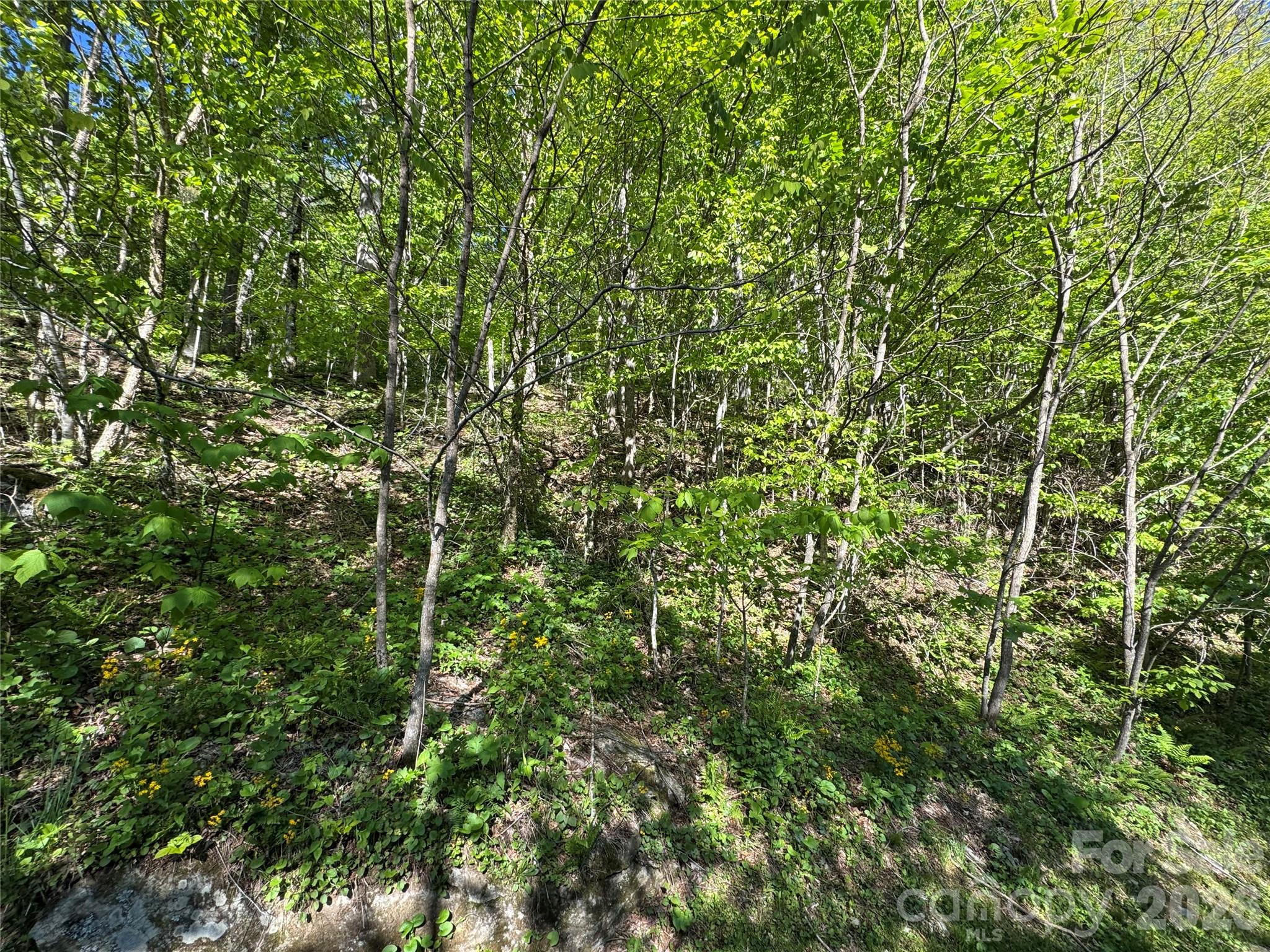 21 Overlook Drive 21/23