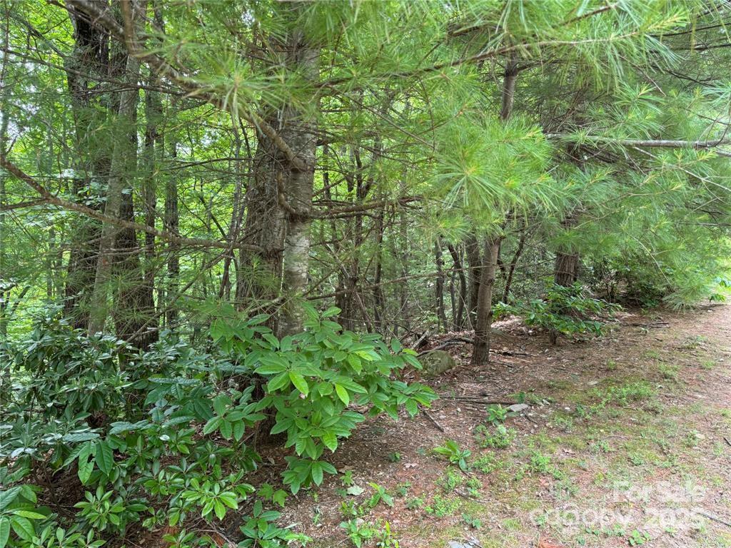 360 Kenmure Drive