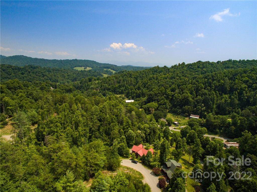 441 The Vines Boulevard 15