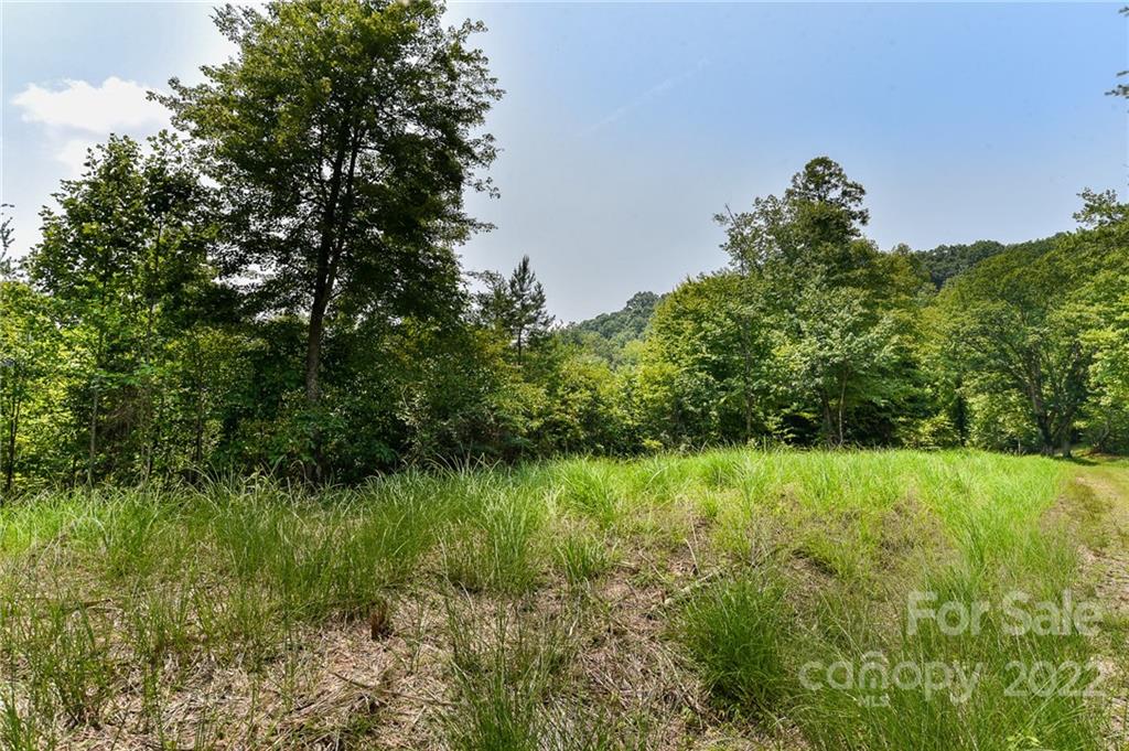 441 The Vines Boulevard 15