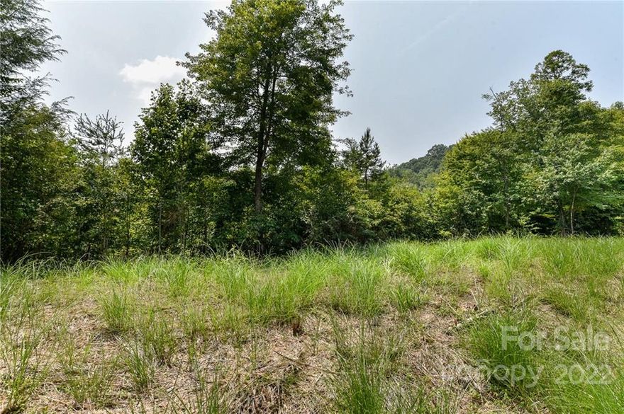 COME TAKE YOUR PICK!  Great, easy to build lots in platted subdivision.  Affordably priced!  Build confidently in this community of homes.  Has underground power and fiber optics available.  A great place to work from home!  Located between Mars Hill and Marshall, NC. Easy, convenient drive to groceries, restaurants, stores, and schools.