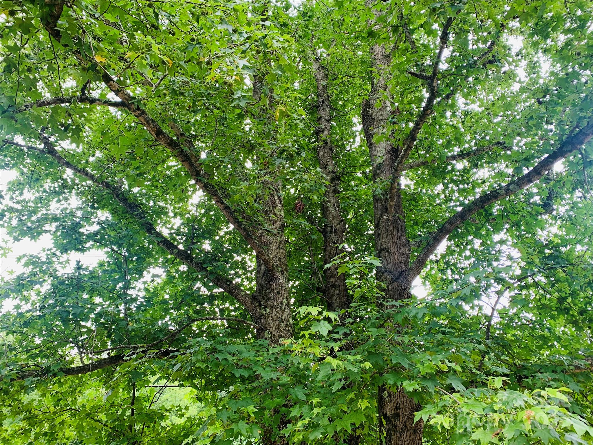 Independence Acres - Residential