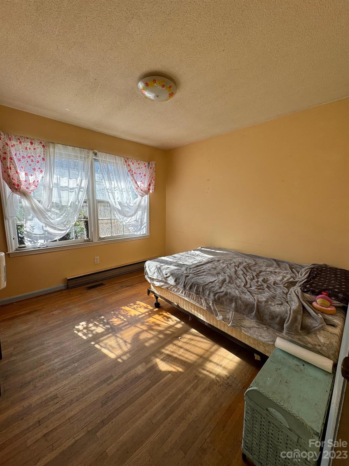 Pine Forest - Residential