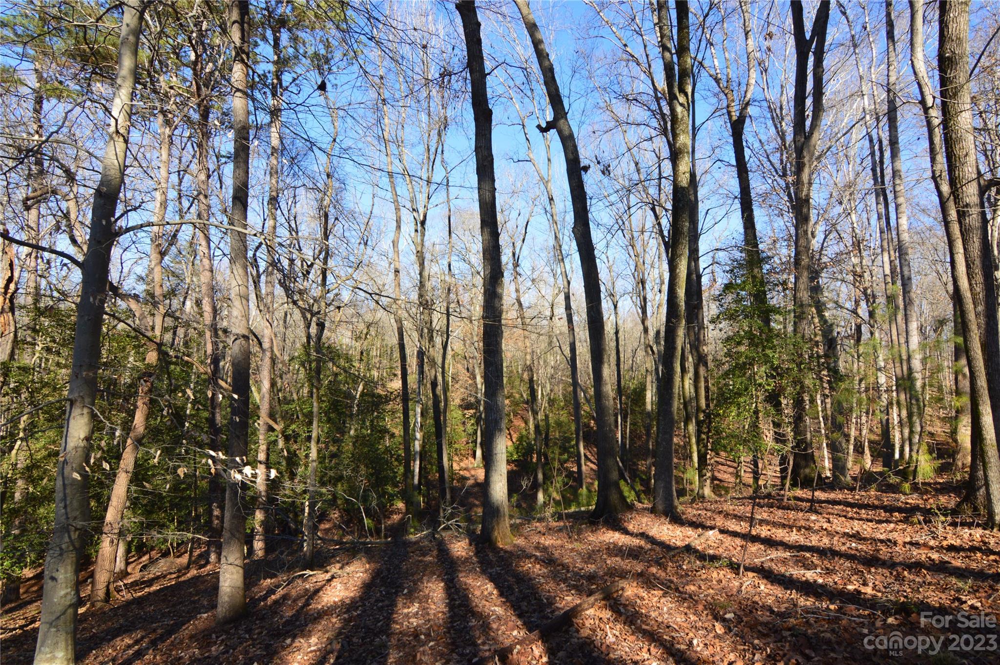 Reflection Pointe - Land