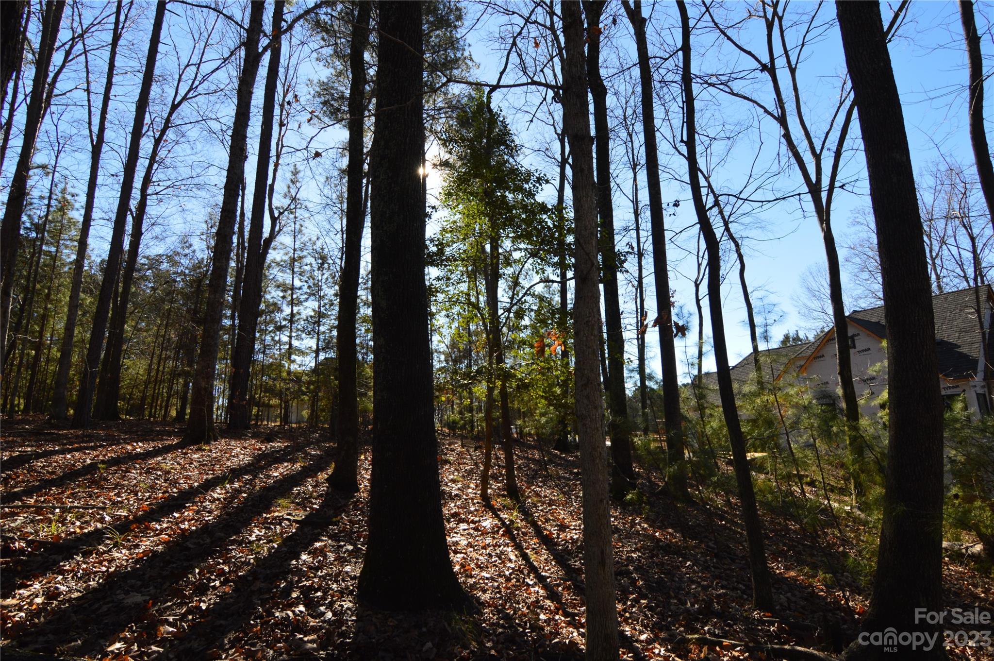 Reflection Pointe - Land