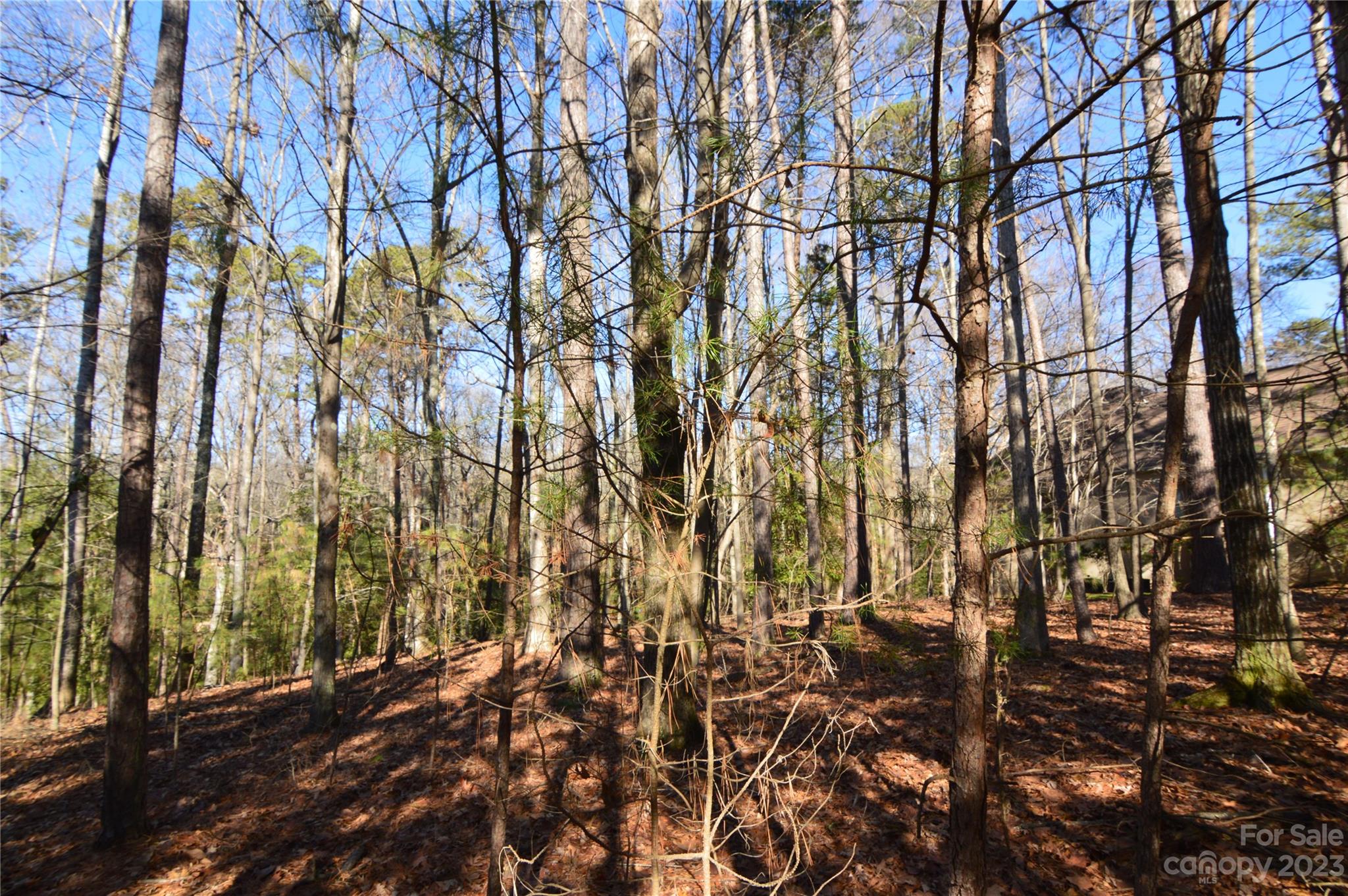 Reflection Pointe - Land