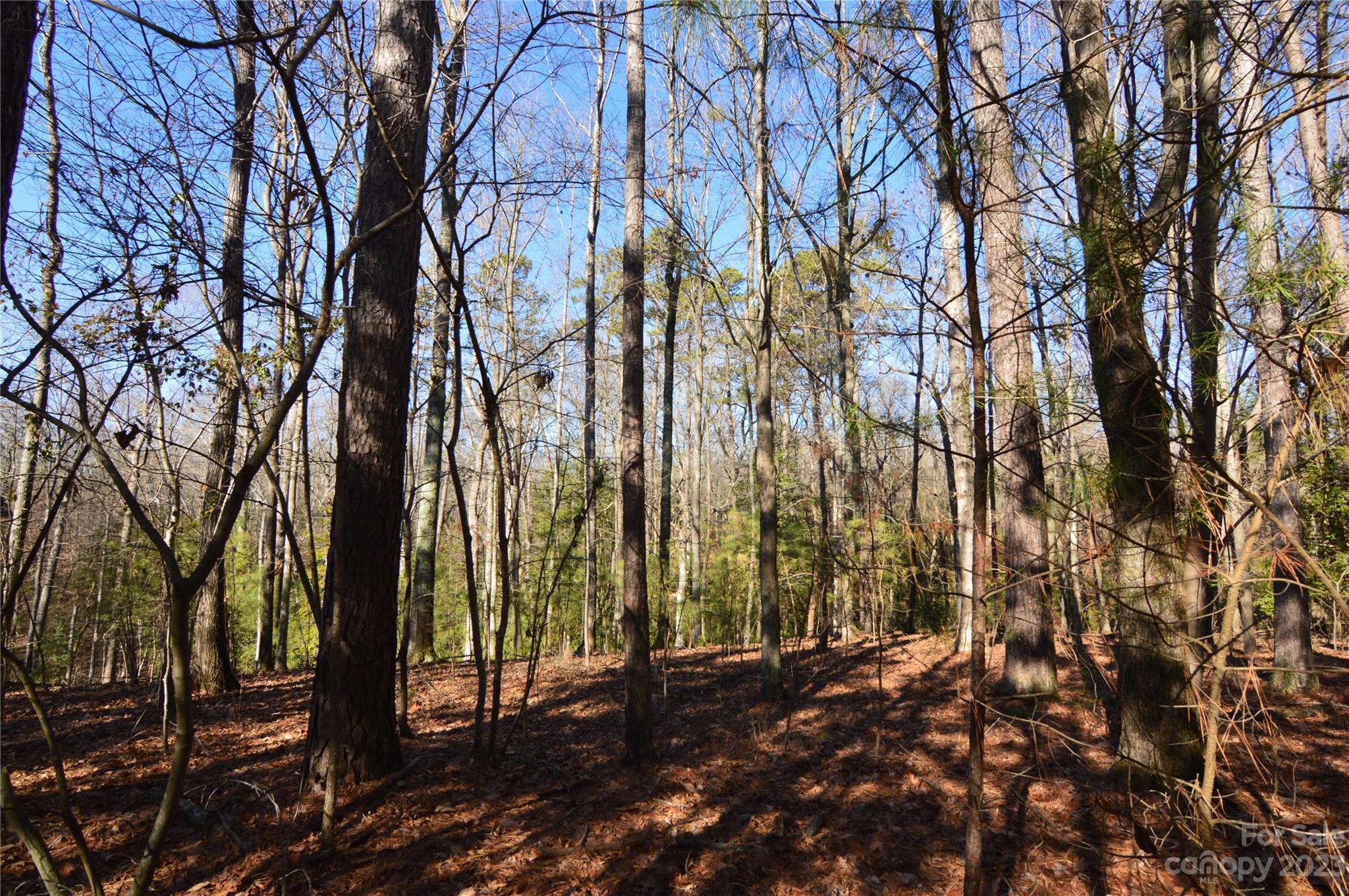 Reflection Pointe - Land