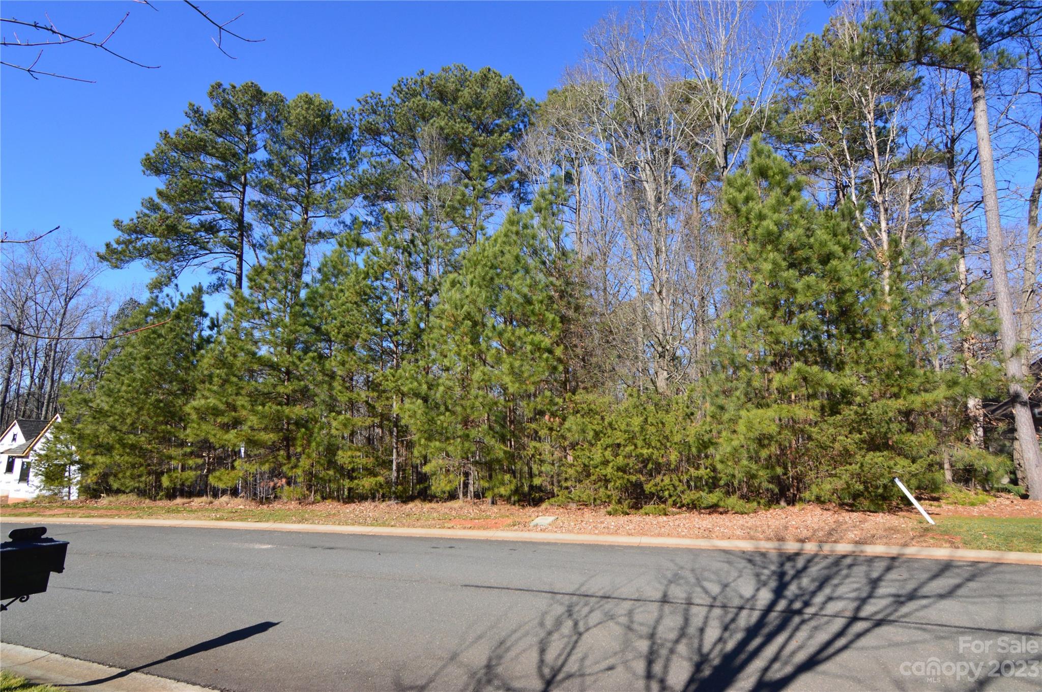 Reflection Pointe - Land