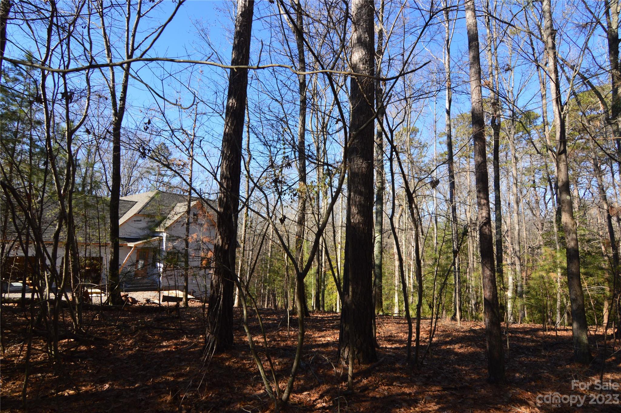 Reflection Pointe - Land