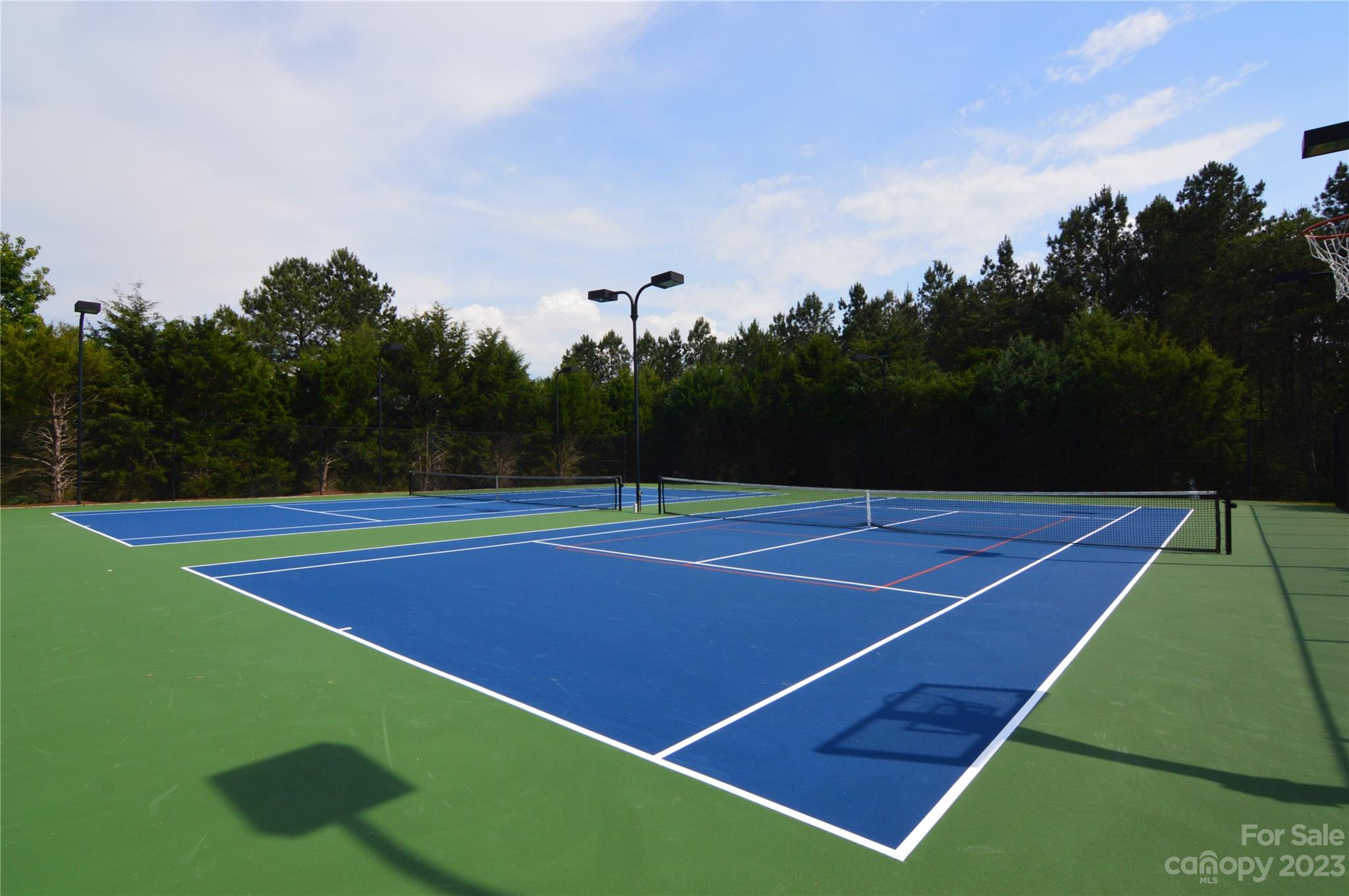 Reflection Pointe - Land