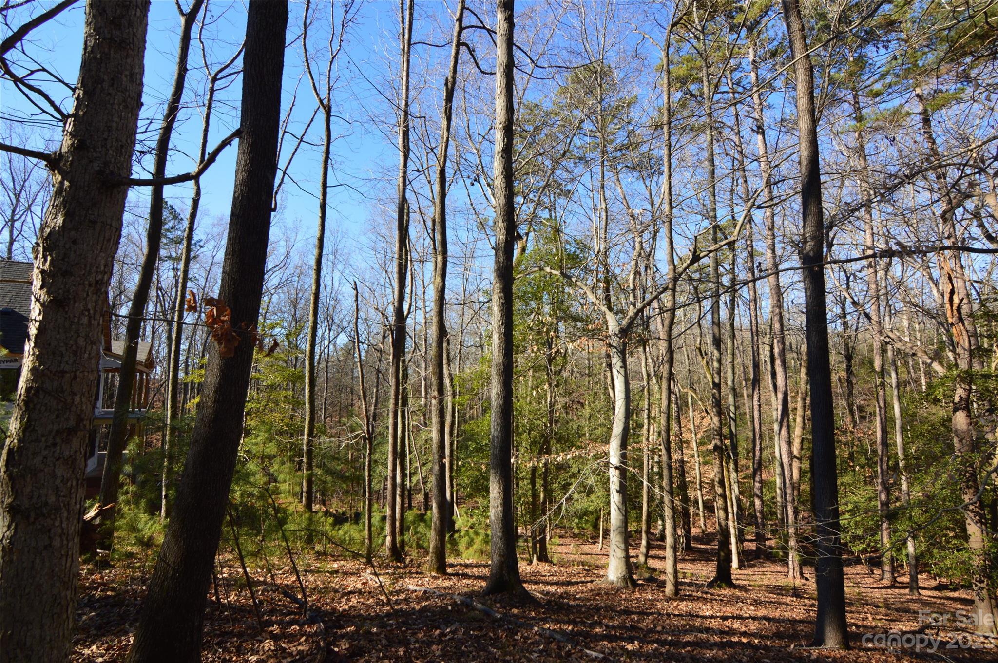 Reflection Pointe - Land