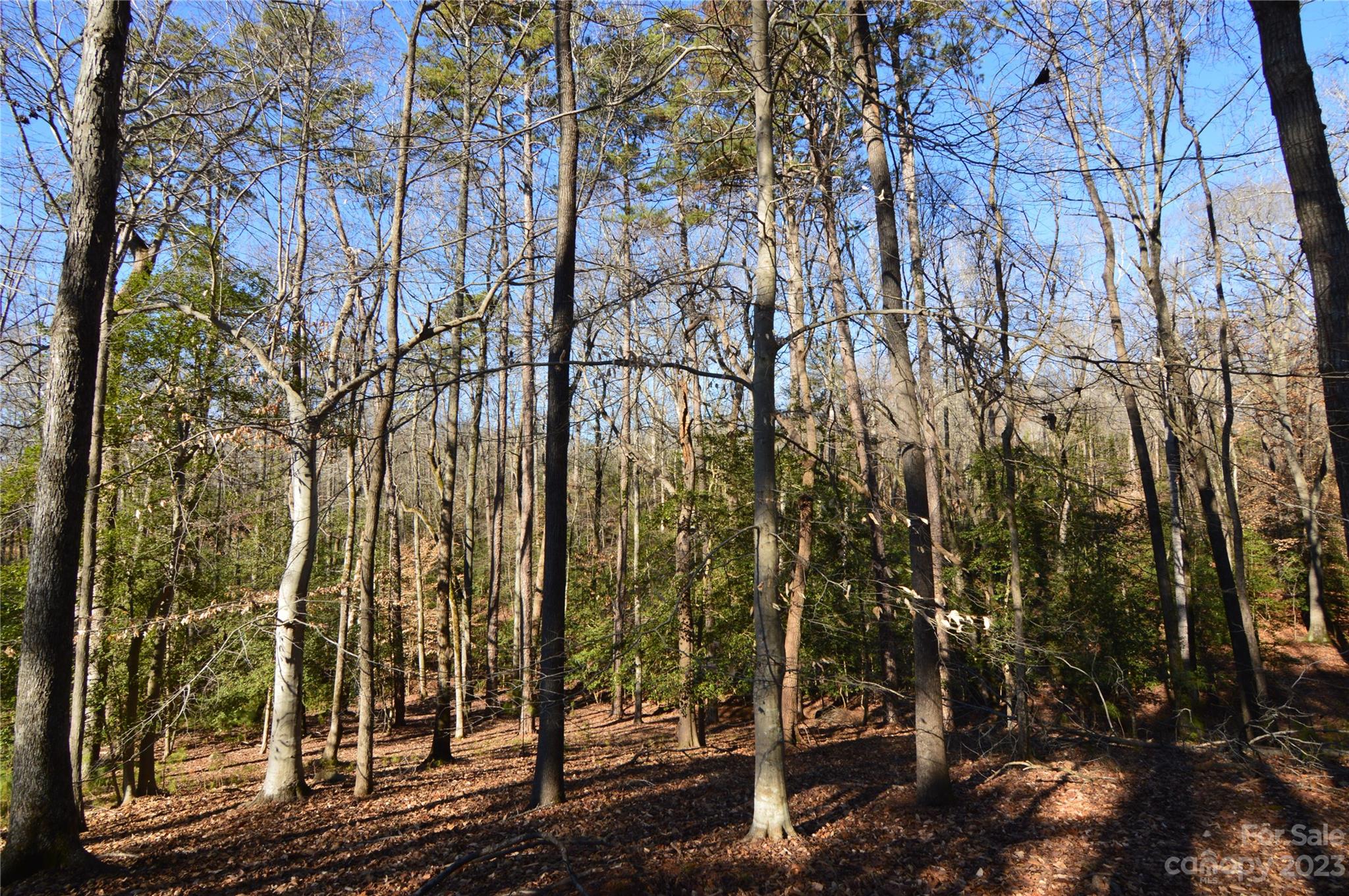 Reflection Pointe - Land