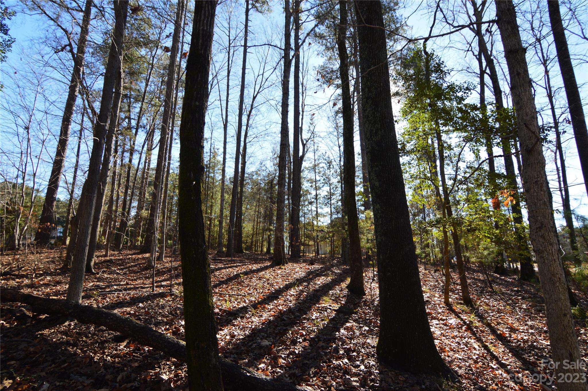 Reflection Pointe - Land