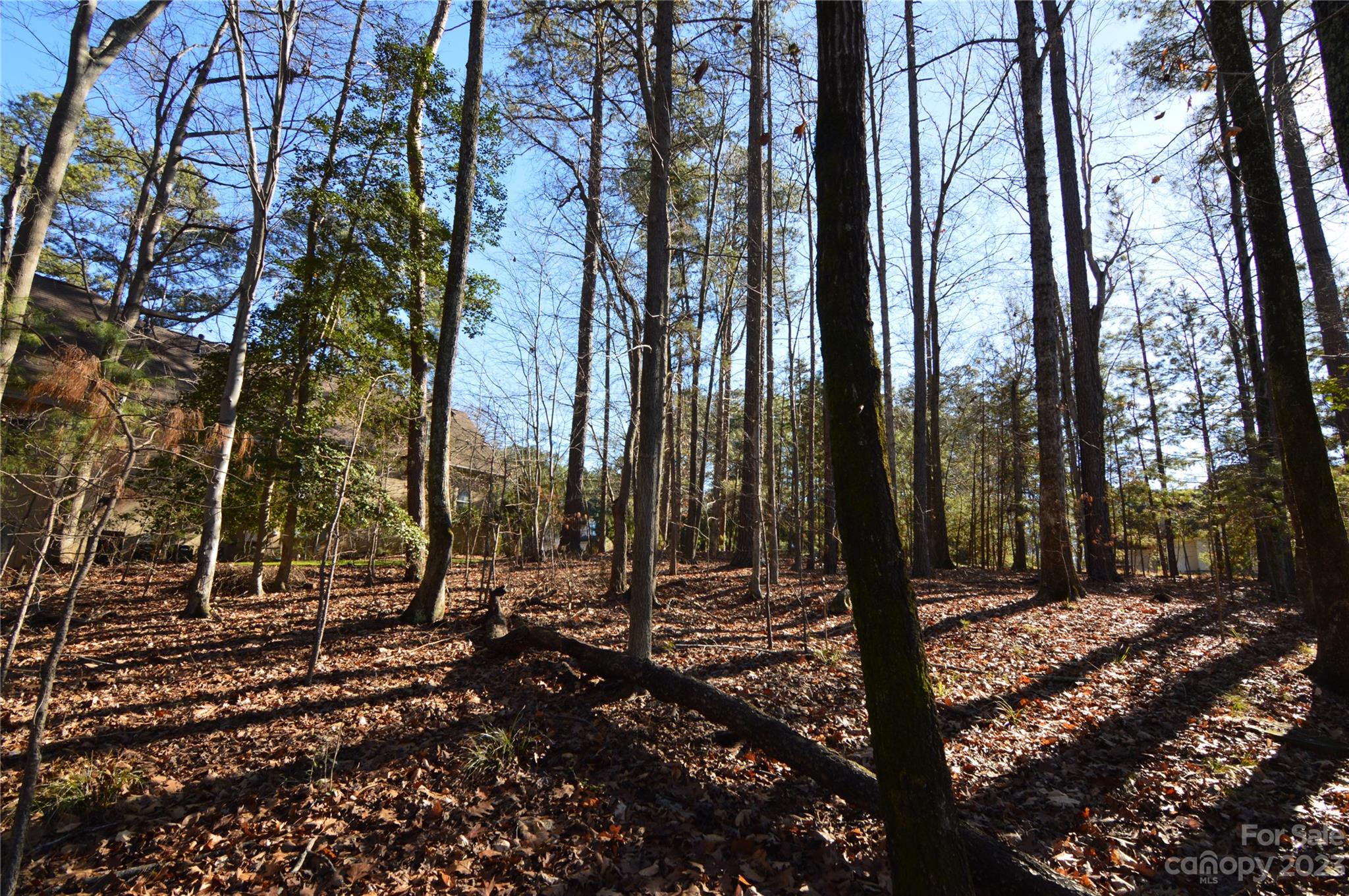 Reflection Pointe - Land