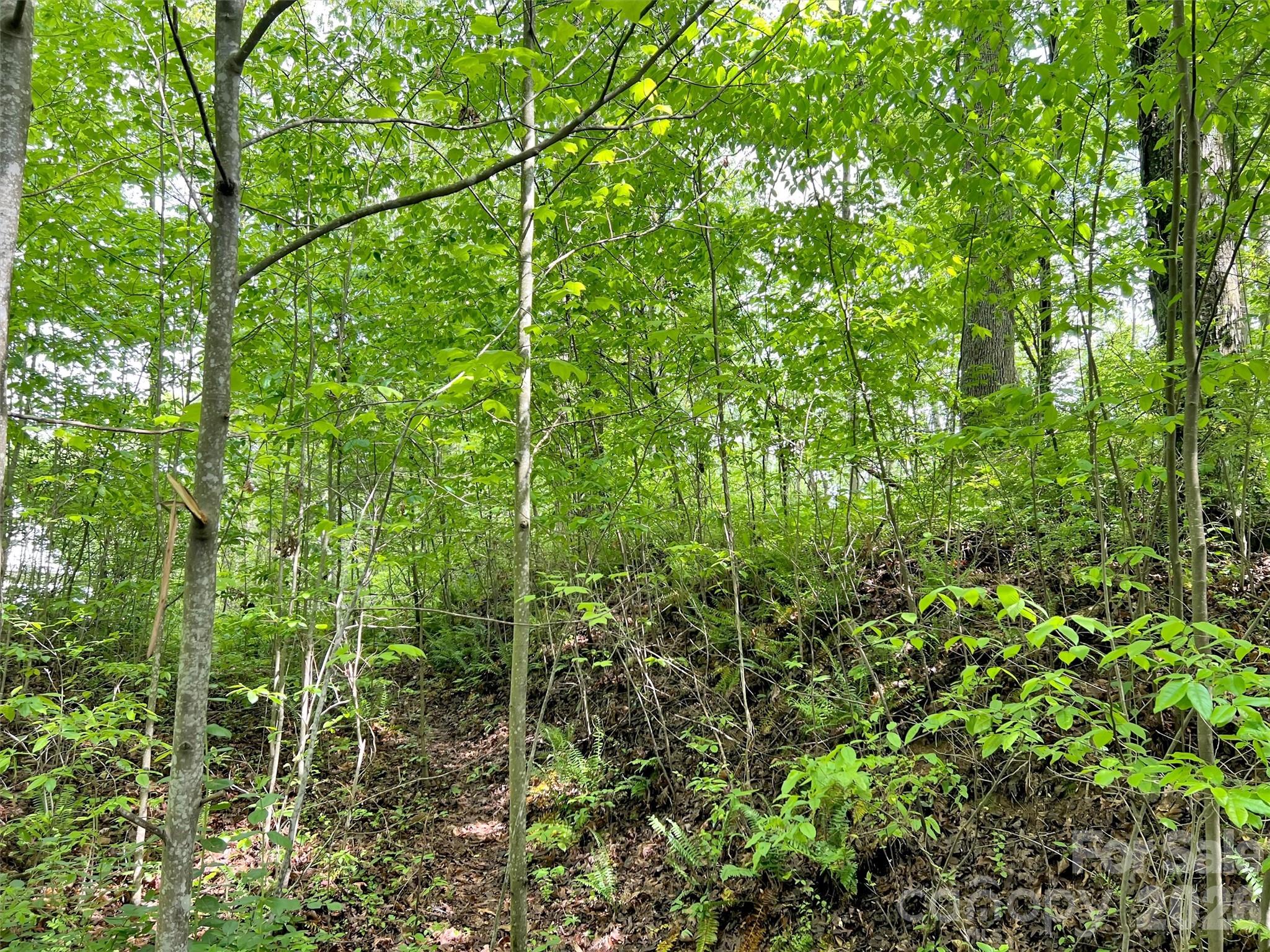 Lake Junaluska Assembly - Land