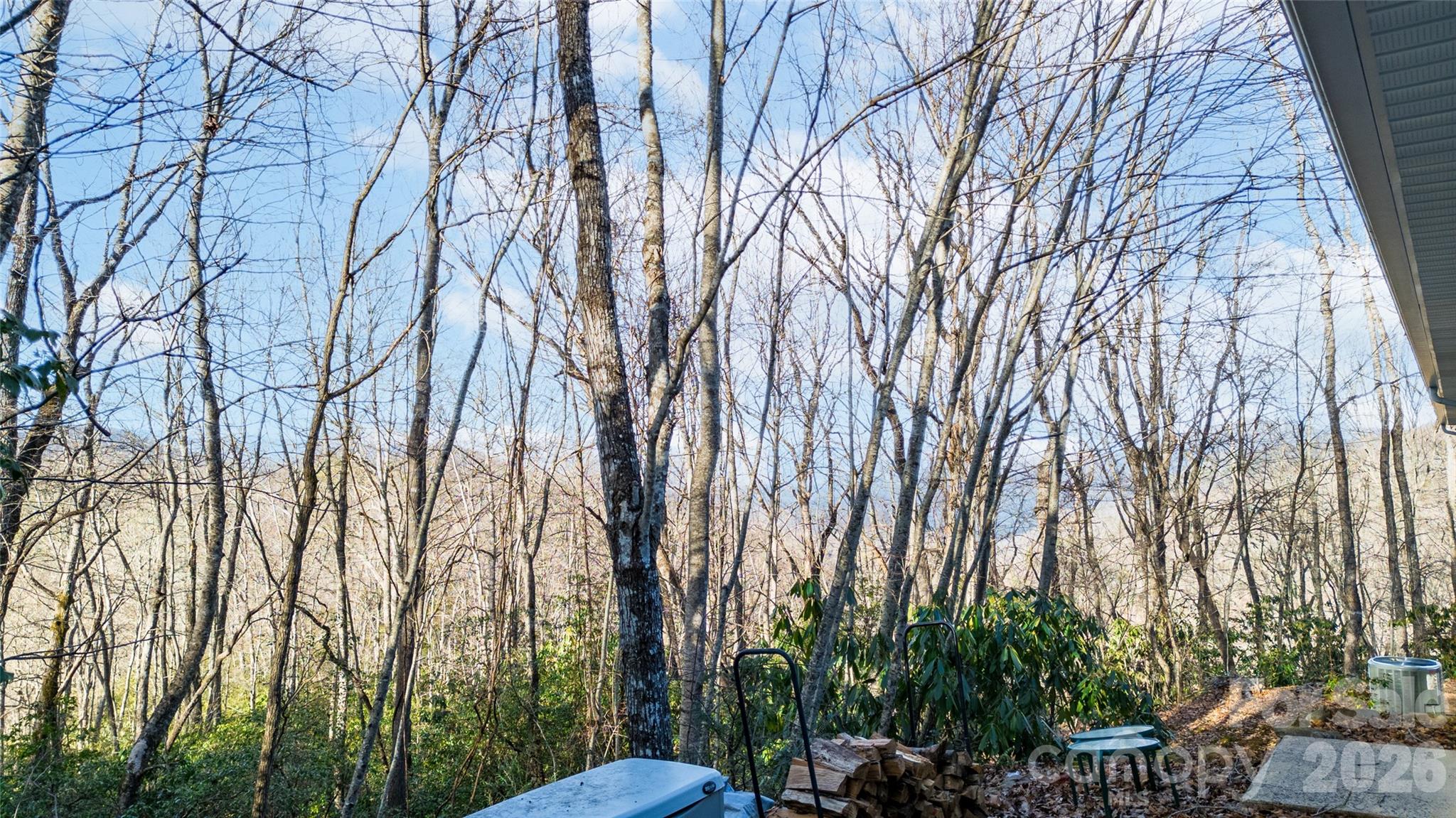 Forest Run - Residential