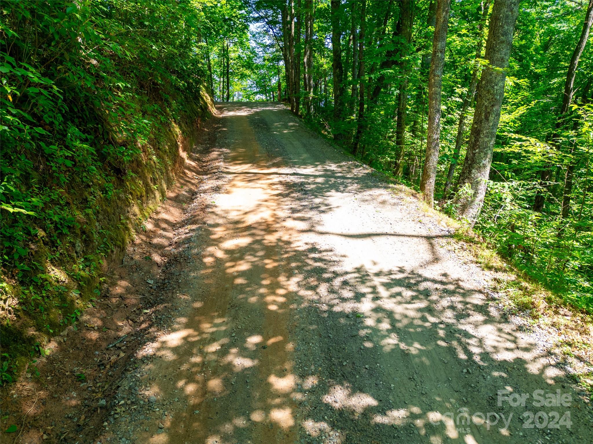 Lot 31 White Falcon Drive