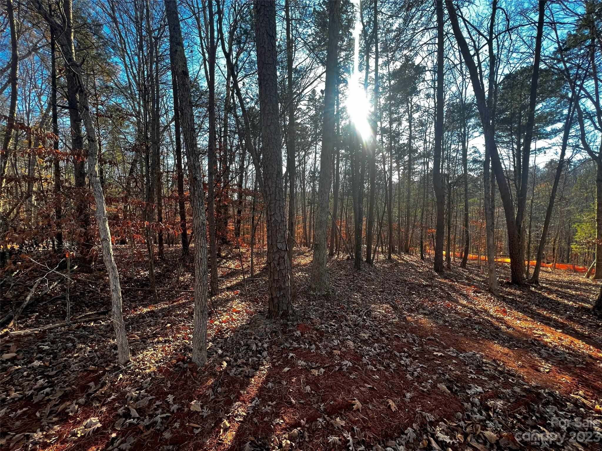 157 Copper Pine Lane 7