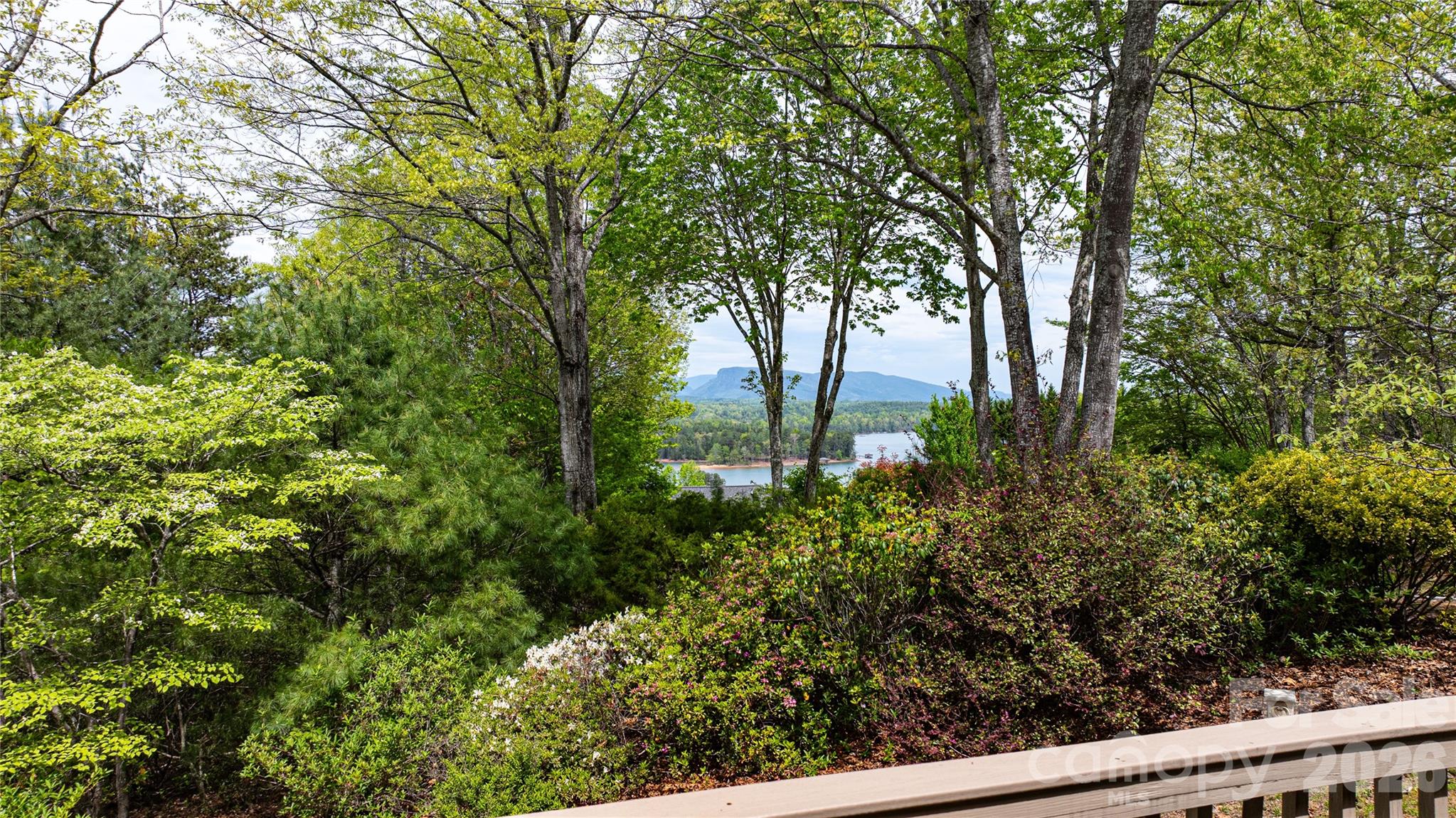 North Shores - Residential