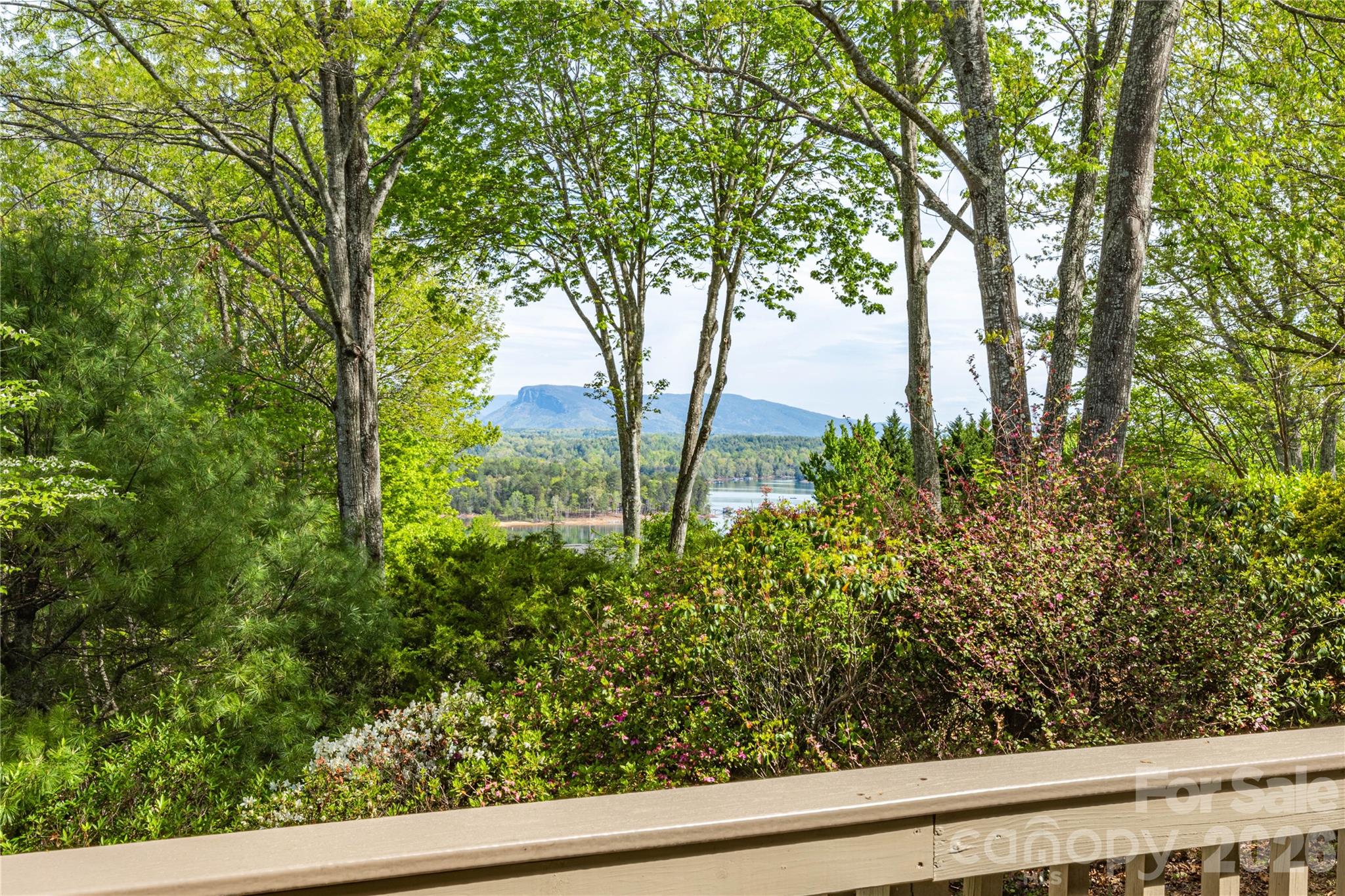 North Shores - Residential