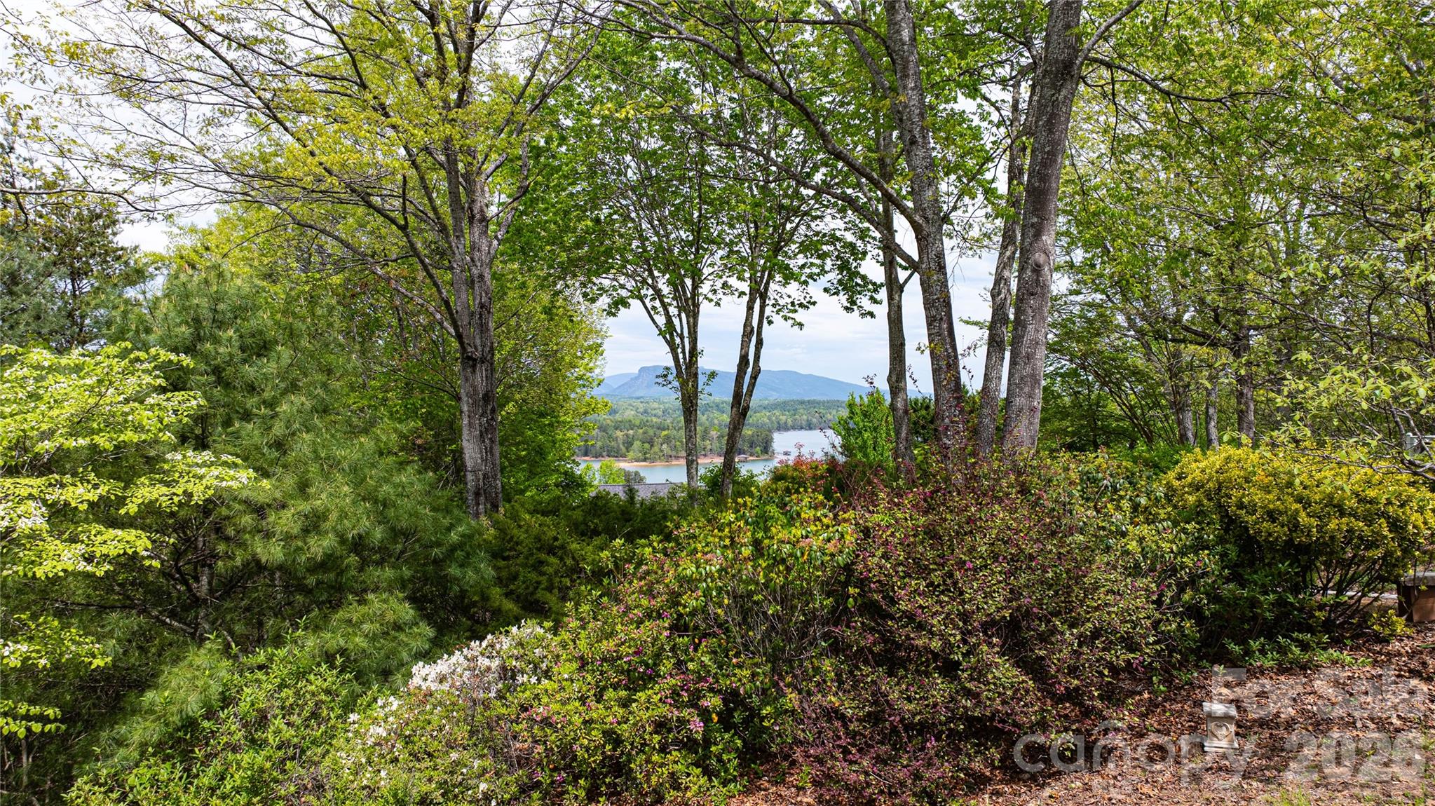North Shores - Residential