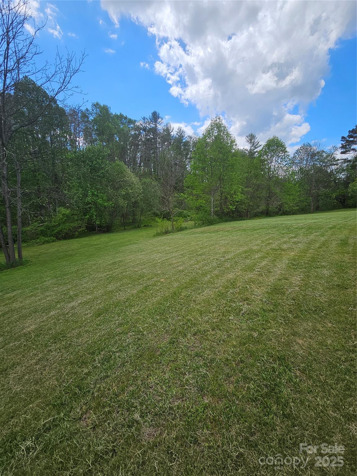 64 Alexander Road 4