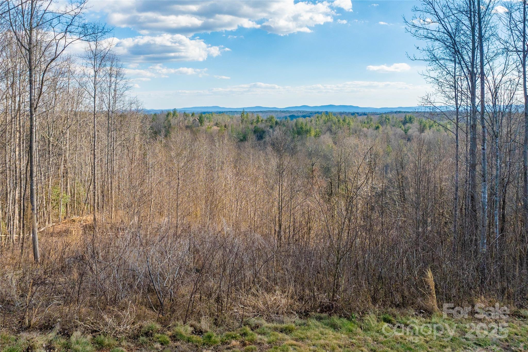 The Coves Mountain River Club - Land