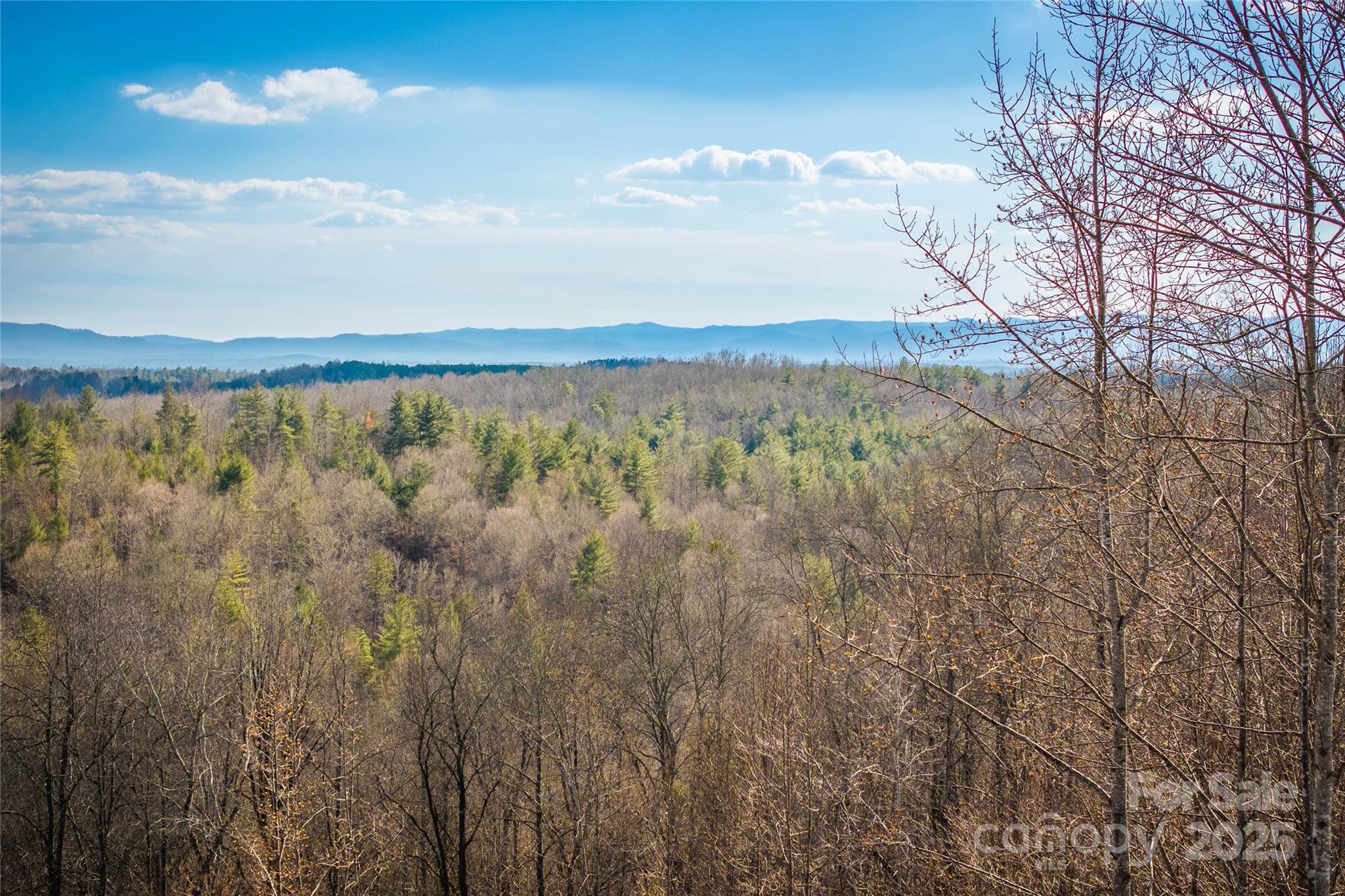 The Coves Mountain River Club - Land