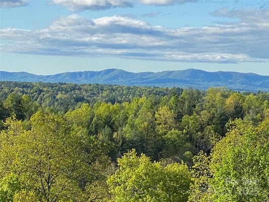 1030 RIVER RD, TODD, NC 28684 - Image 5e962a36bc459461de2a30a4e3db3900/3396414623