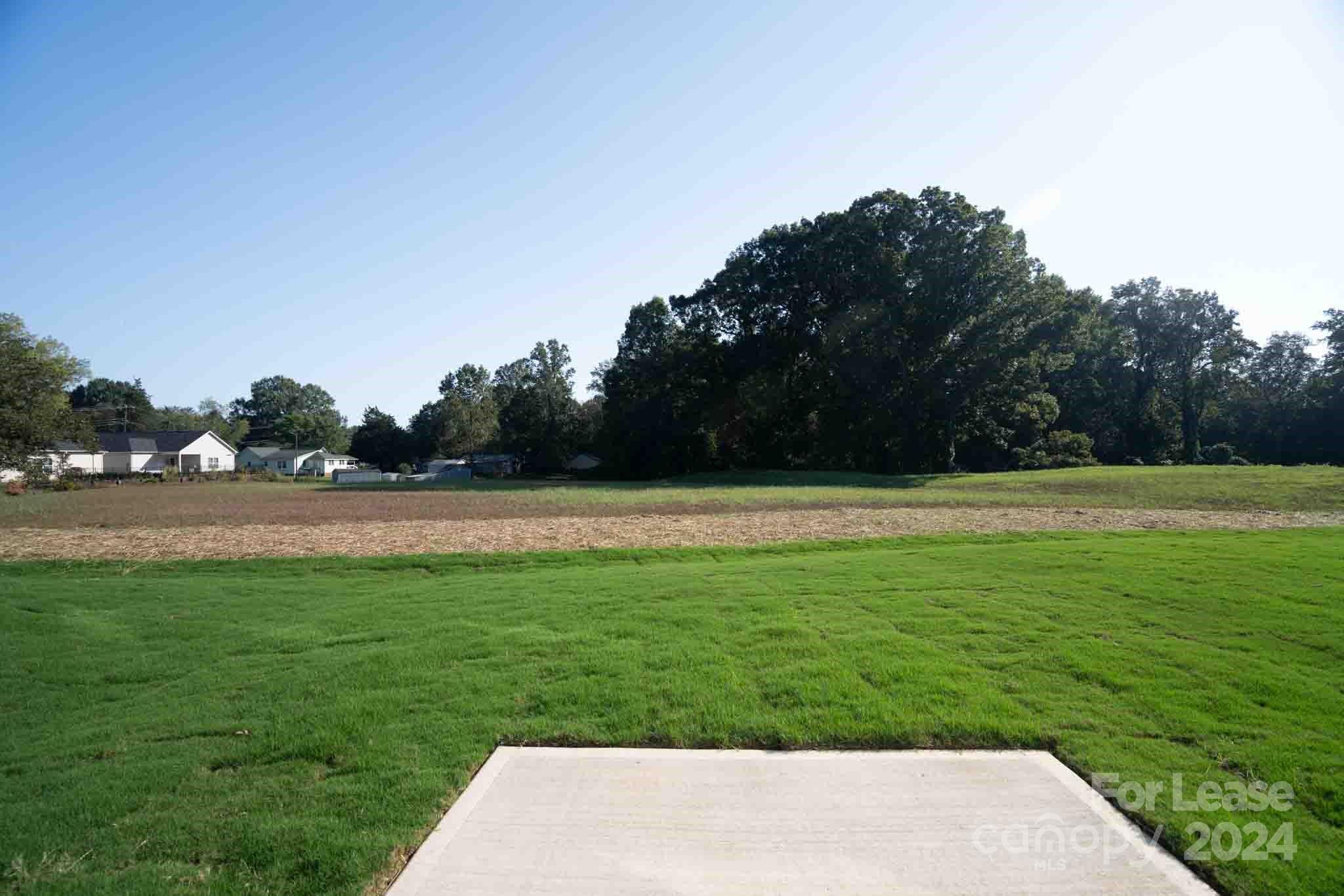 none - Residential Lease