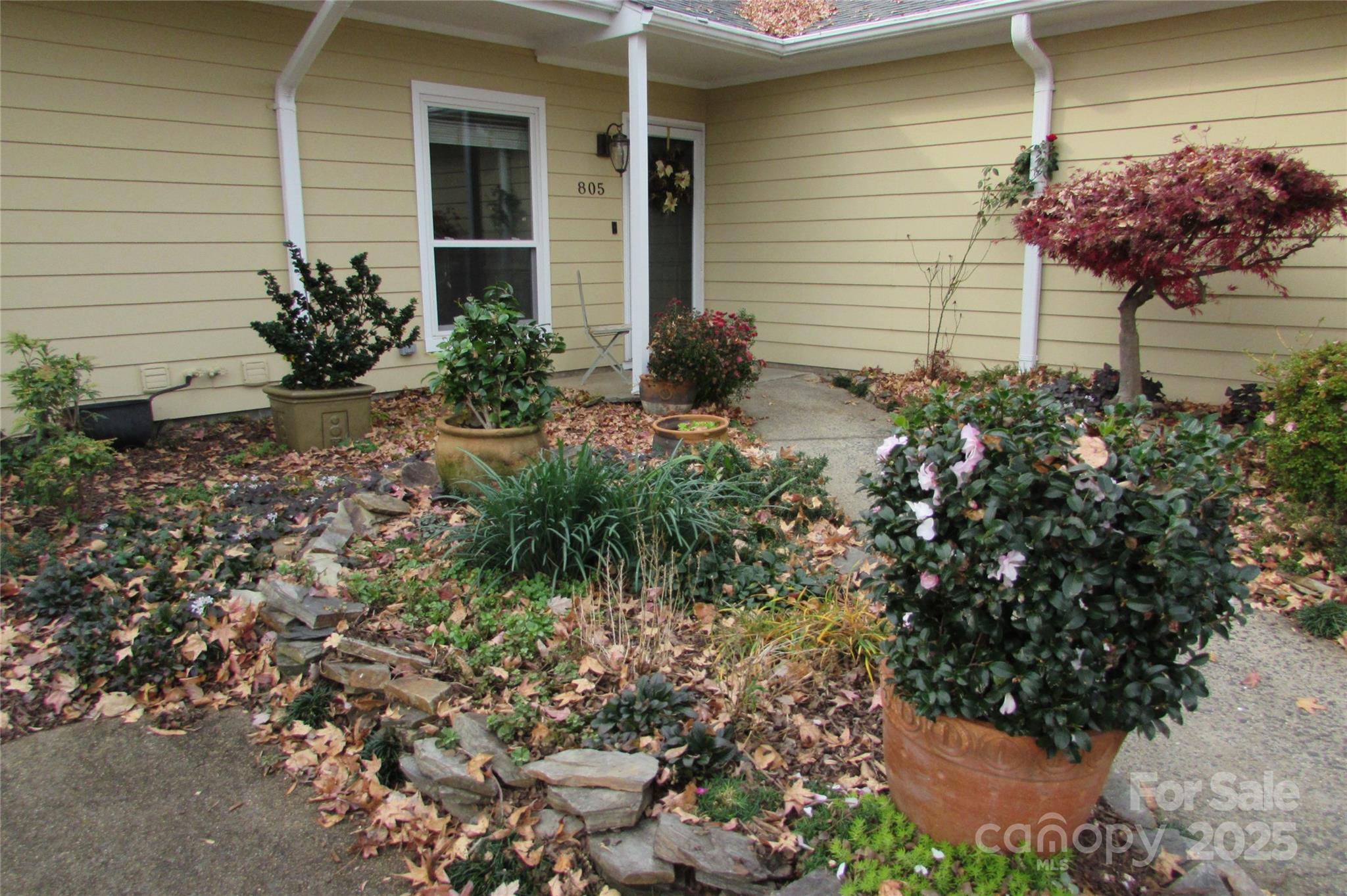 805 Sardis Cove Drive