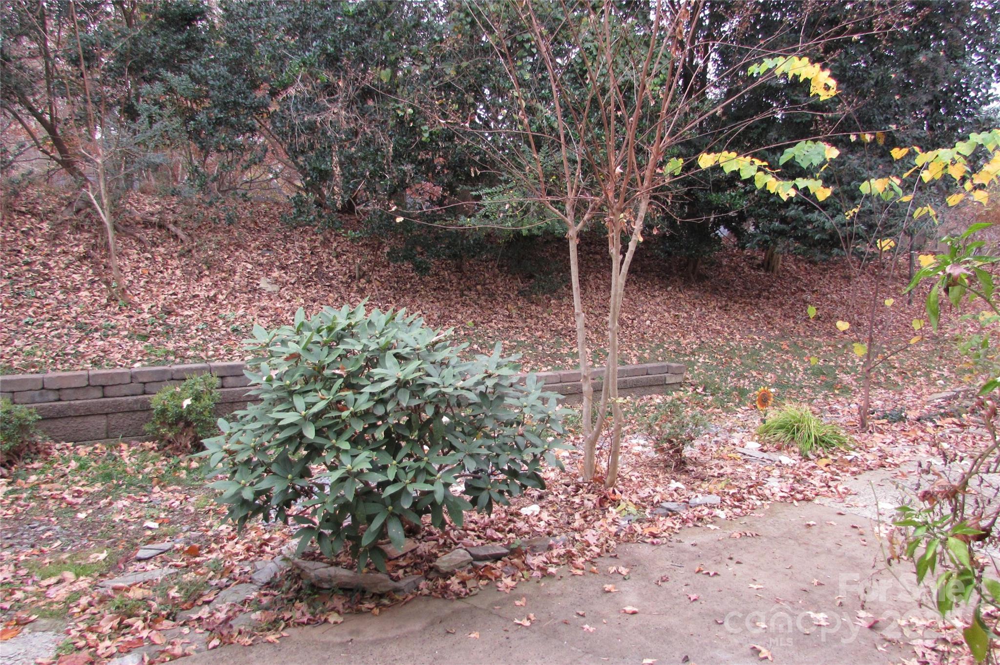 805 Sardis Cove Drive