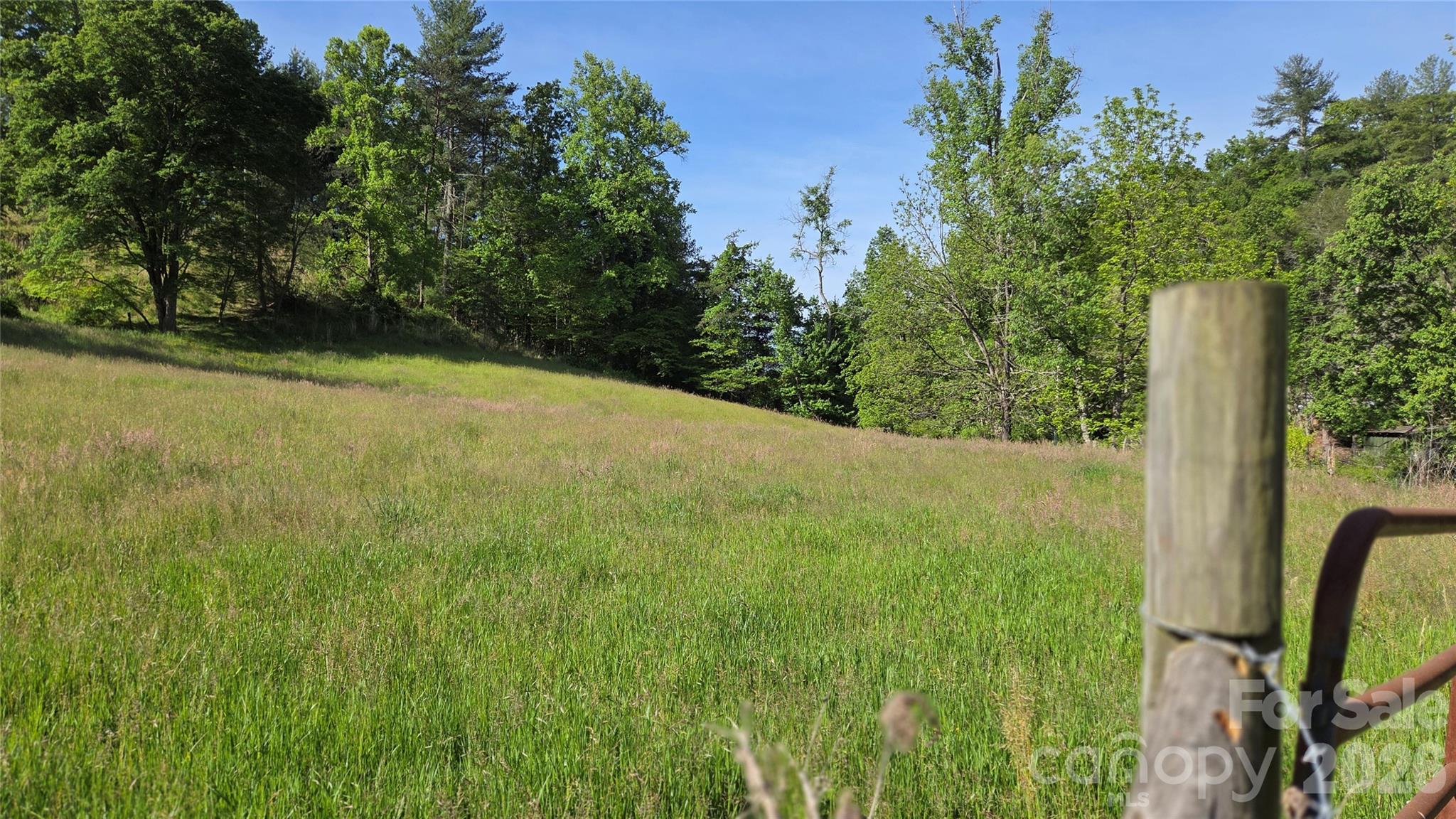 407 Spicewood Trail