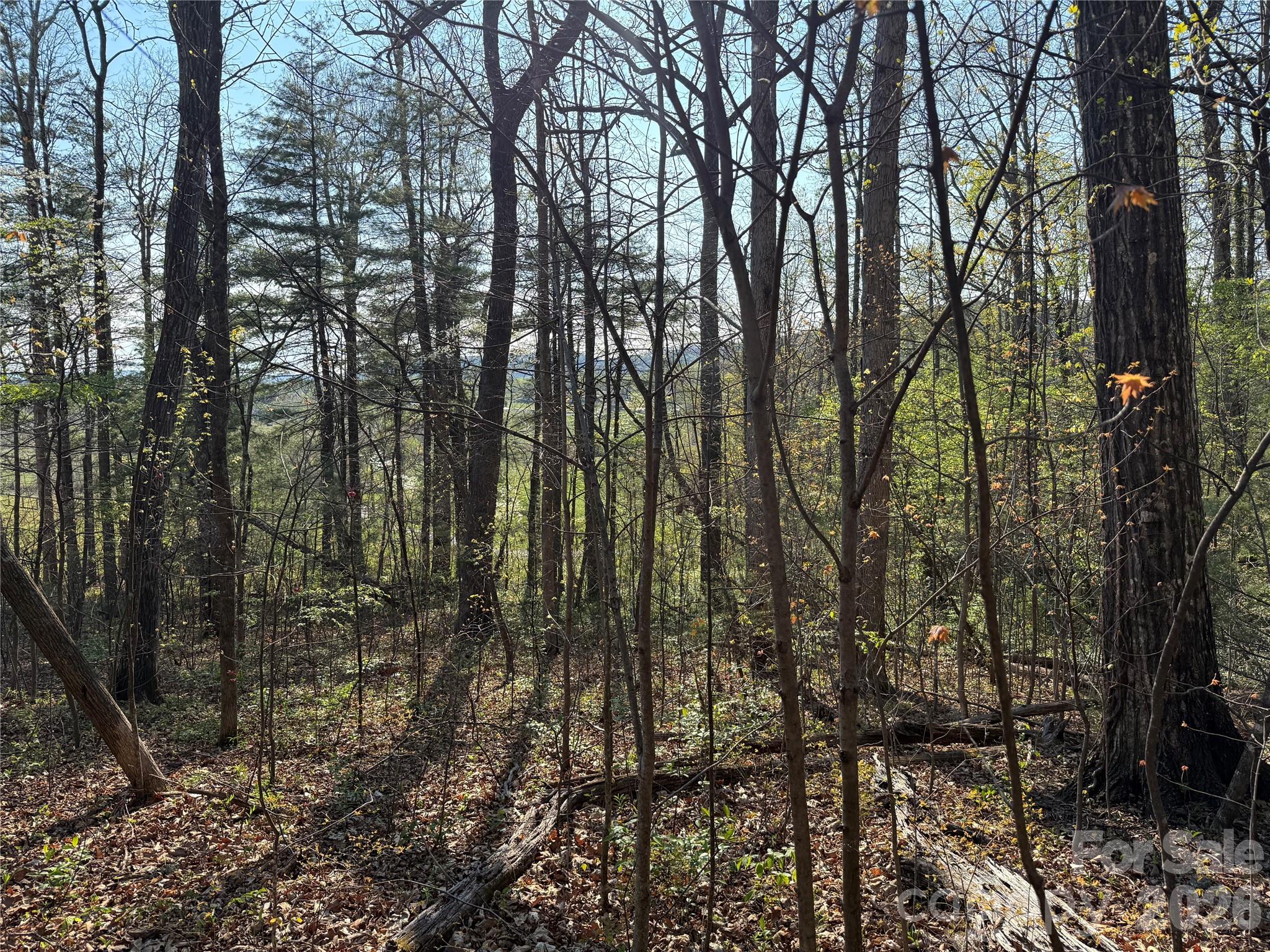 000 Woodlyn Etch Drive