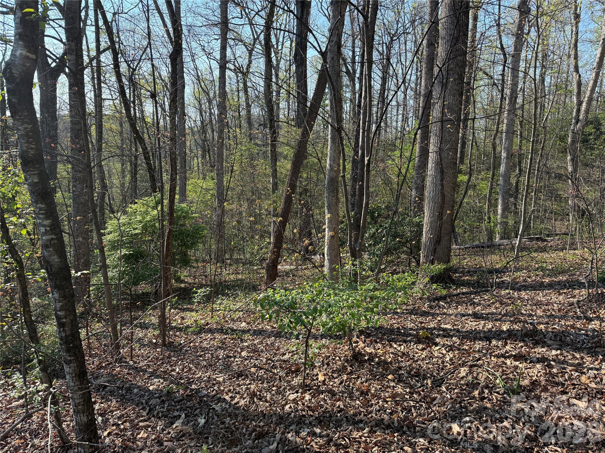 000 Woodlyn Etch Drive