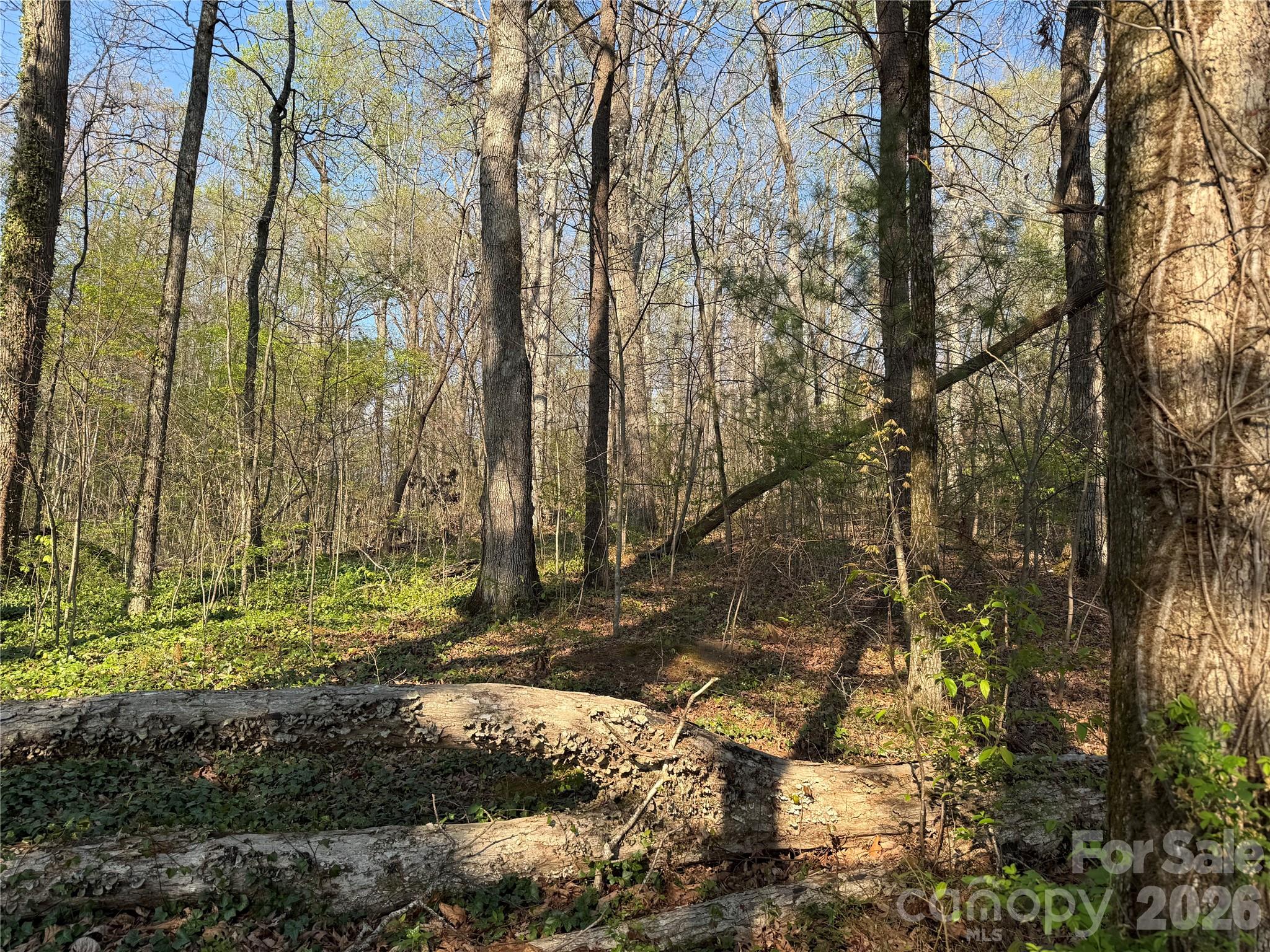 000 Woodlyn Etch Drive