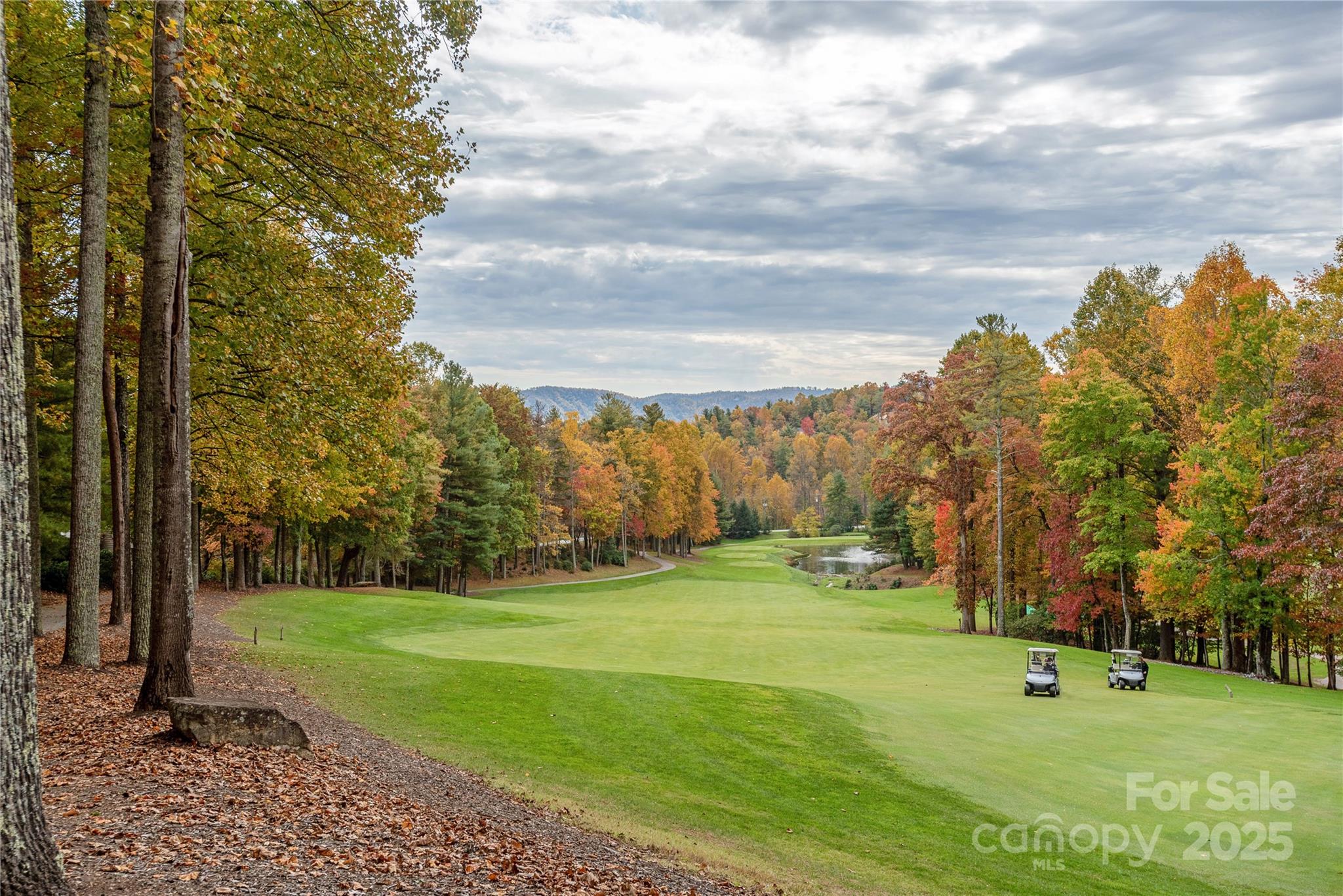 Champion Hills - Land