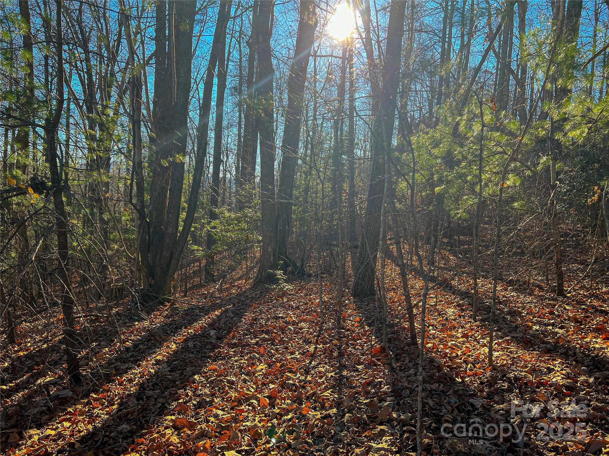203 Bent Pine Trace 179