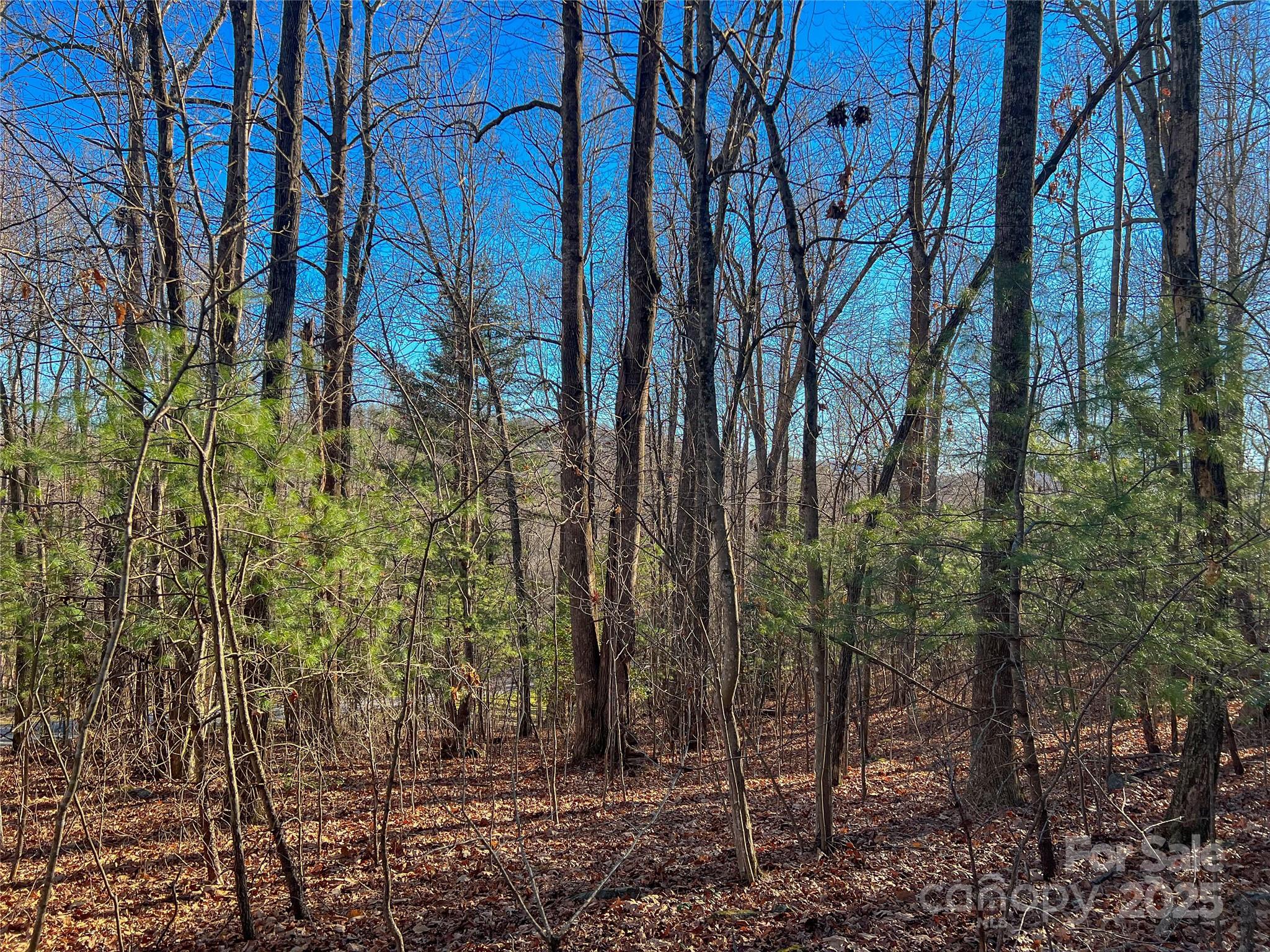 203 Bent Pine Trace 179