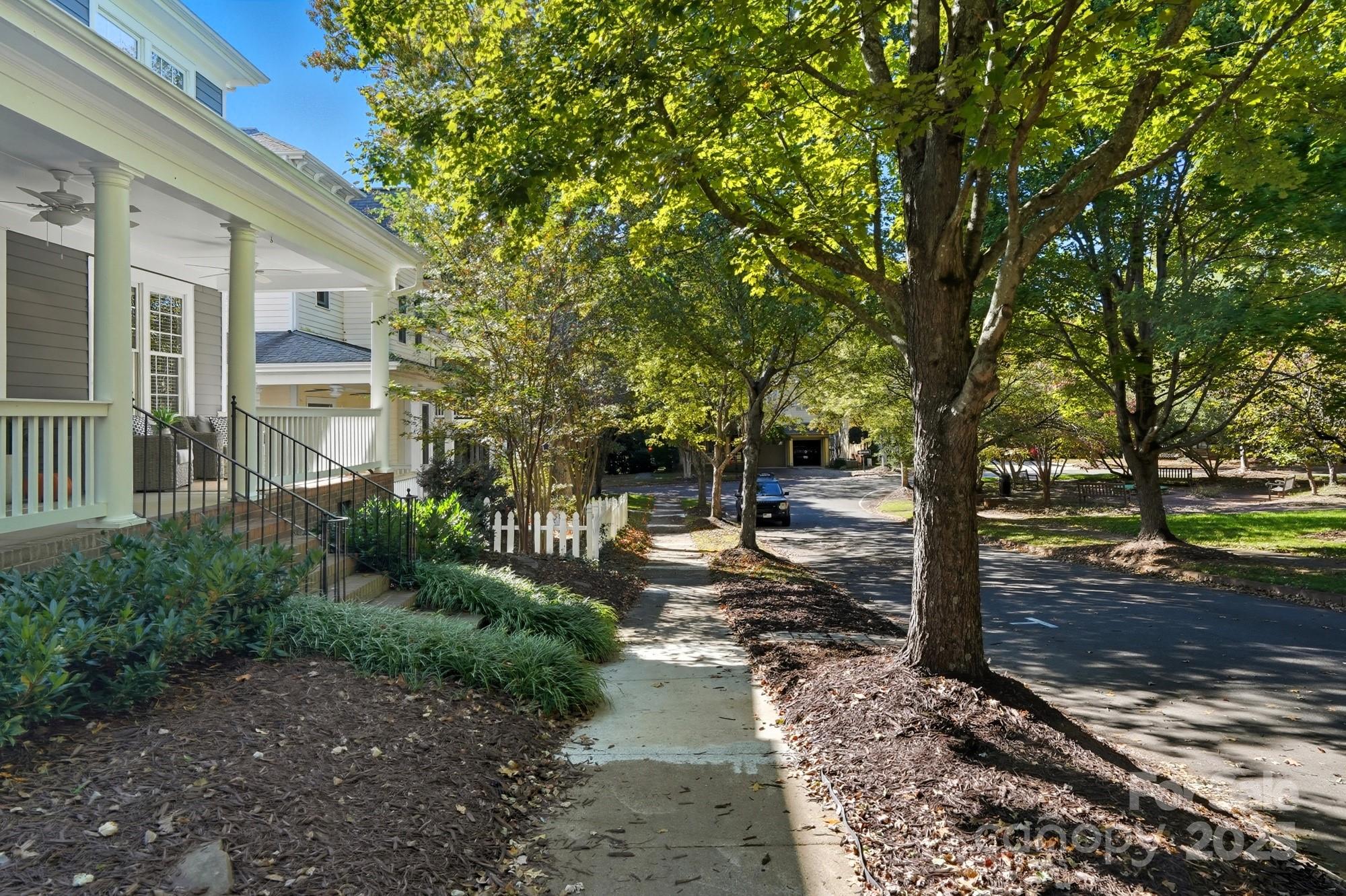 911 Cara Court