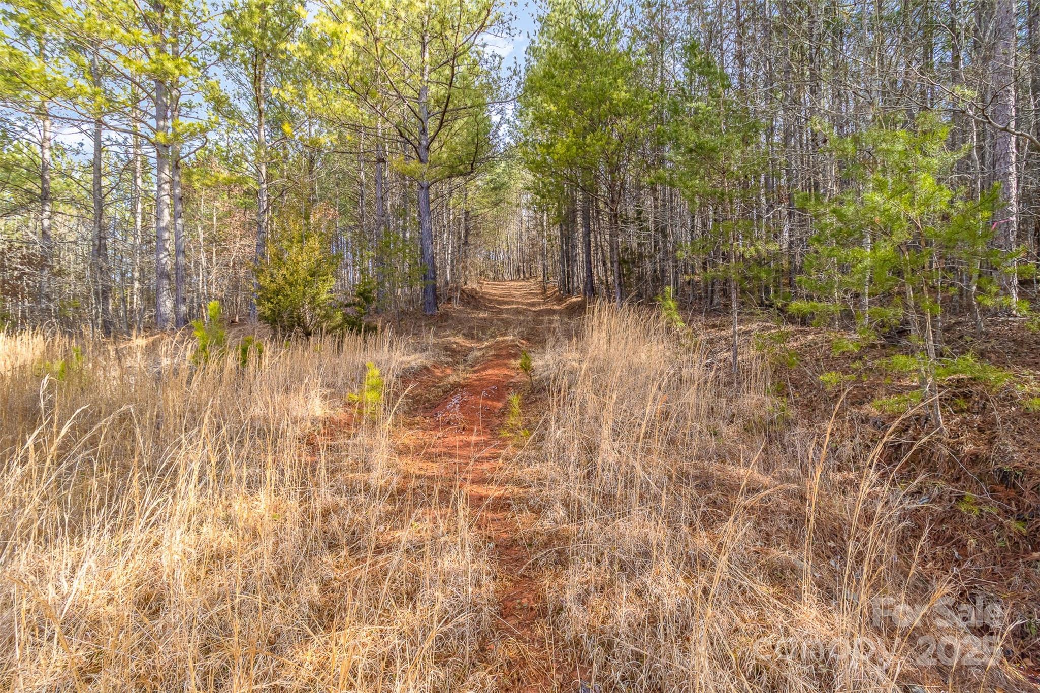 Broad River Highlands - Land