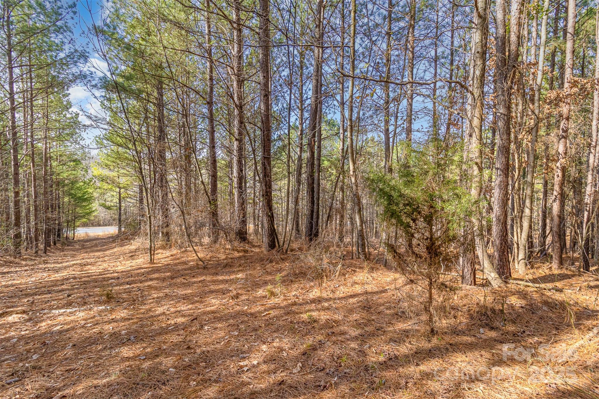 Broad River Highlands - Land