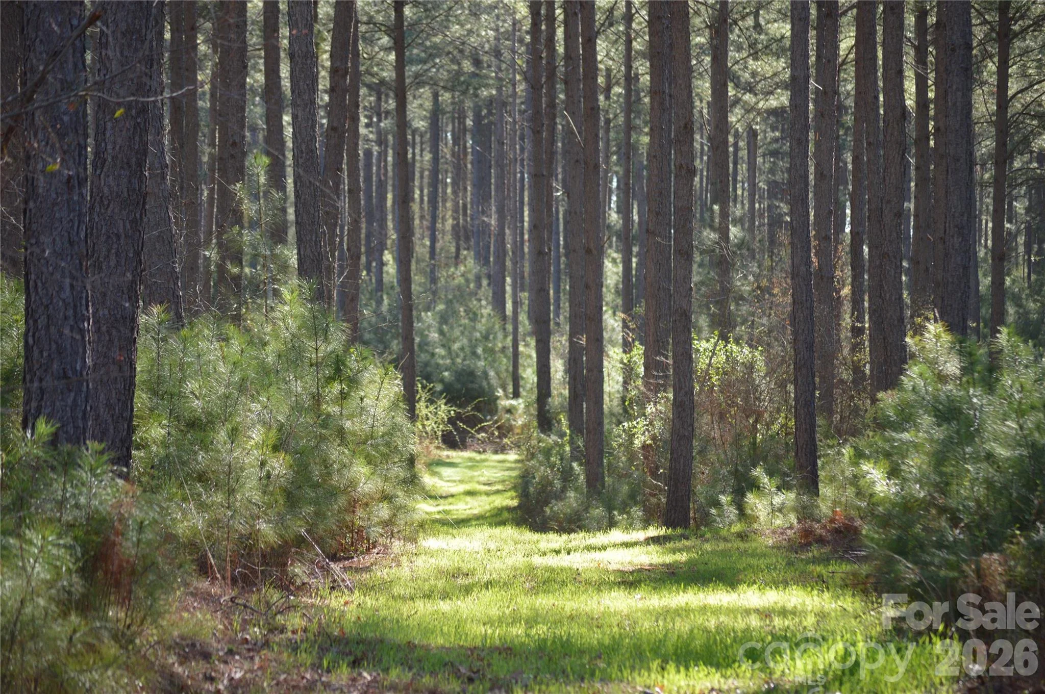 00 Peter Hawk Creek Road Unit 12, Jonesville, SC, 29353