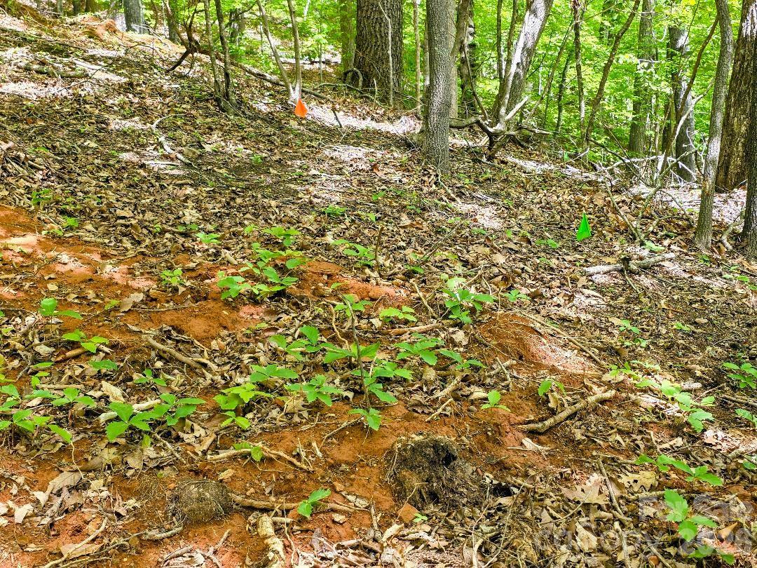00 Hickory Springs Road 12